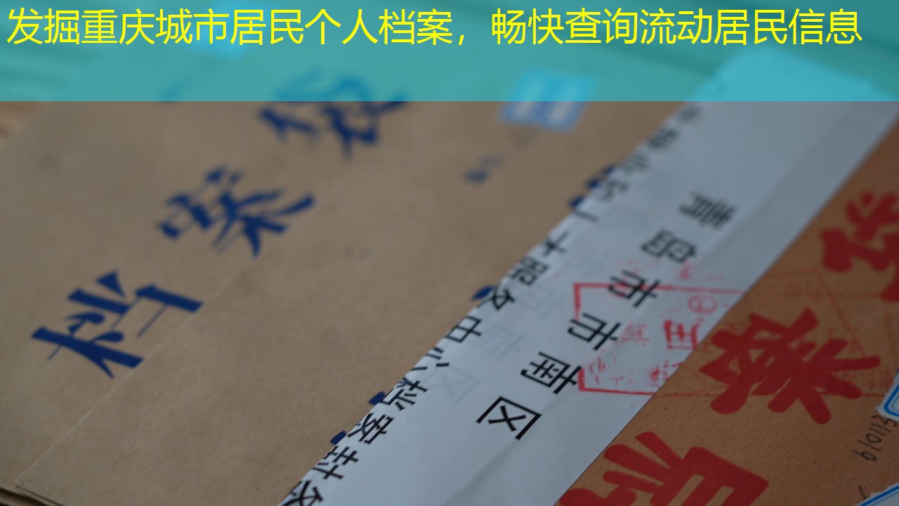 档案查询