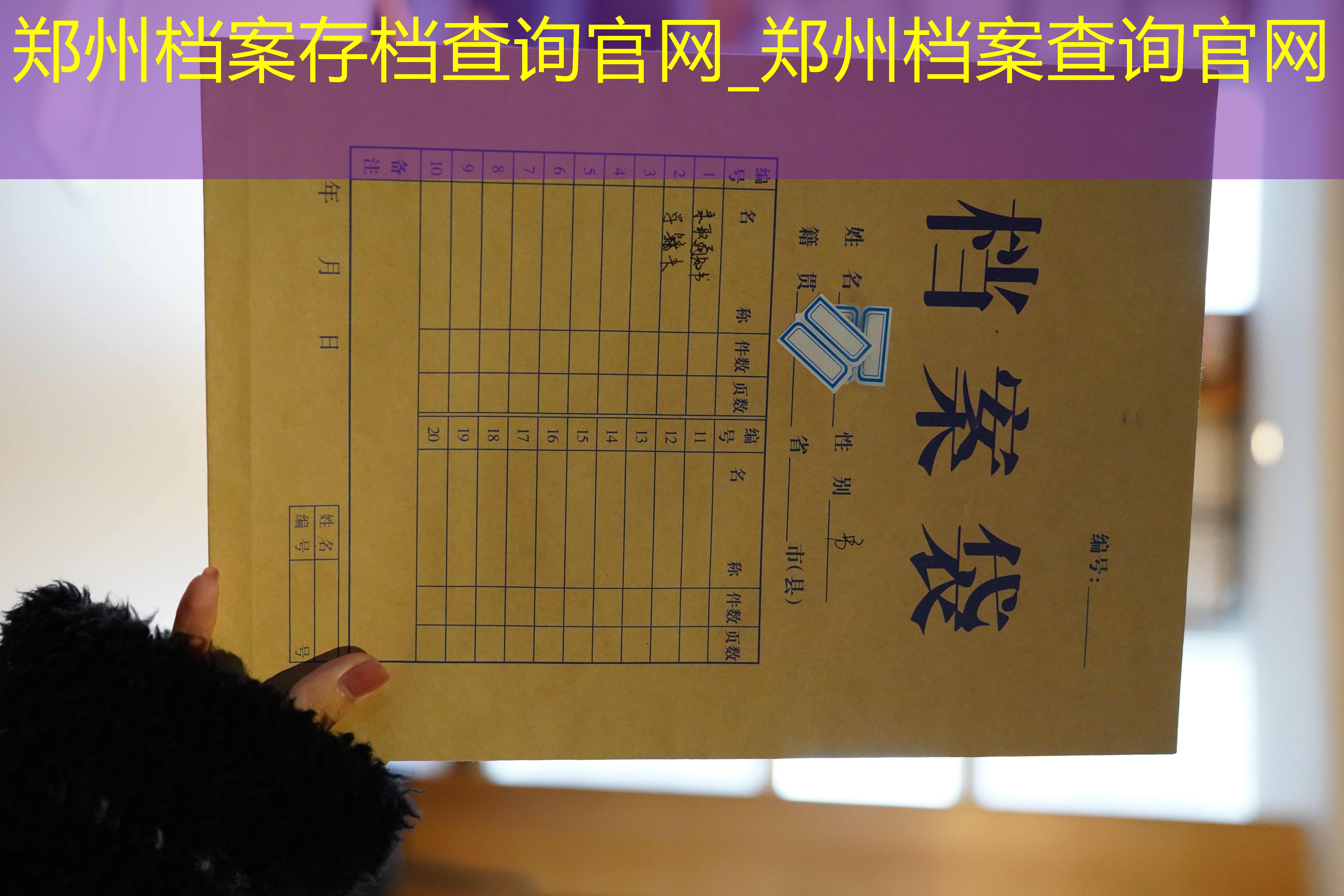 档案查询