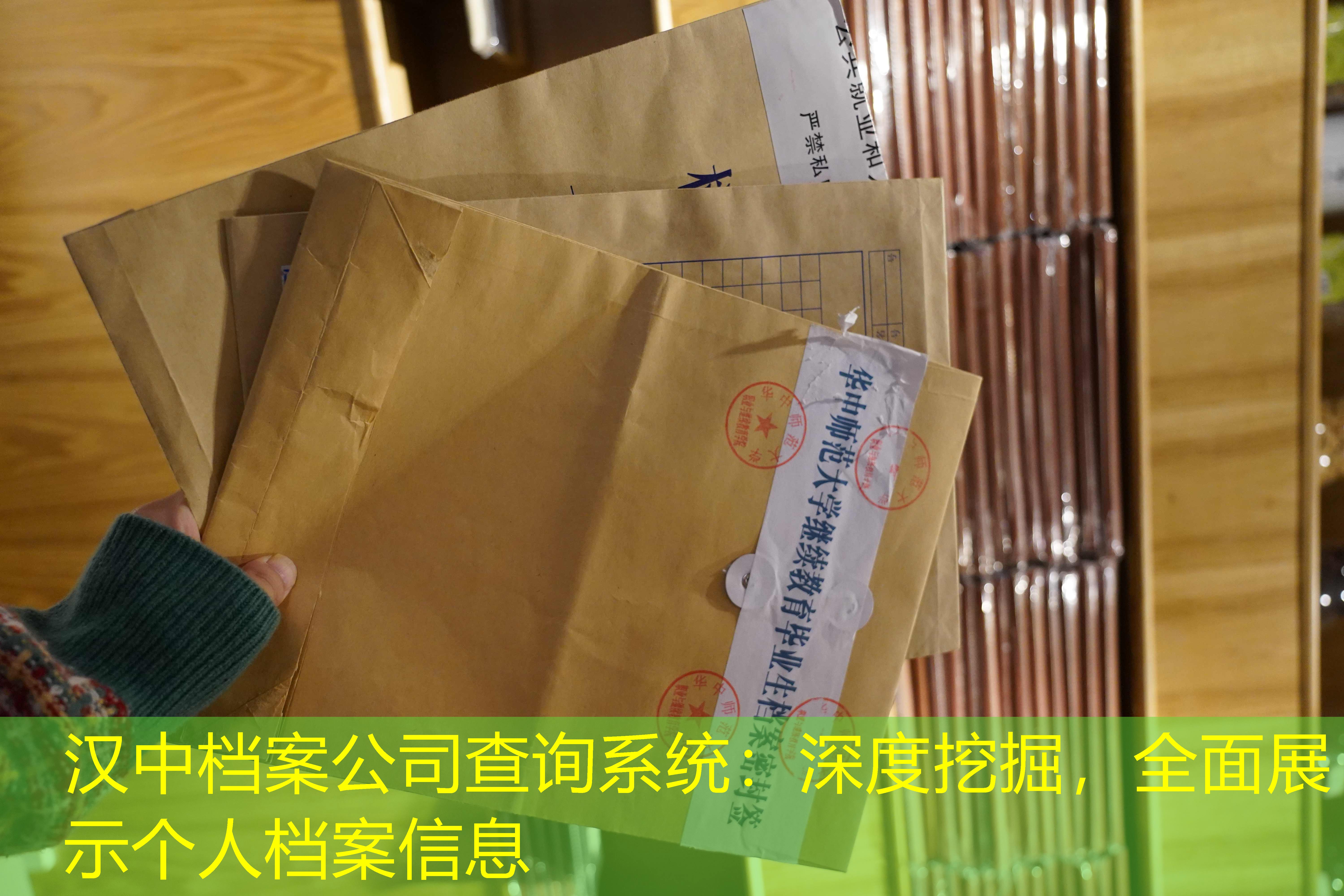 档案查询