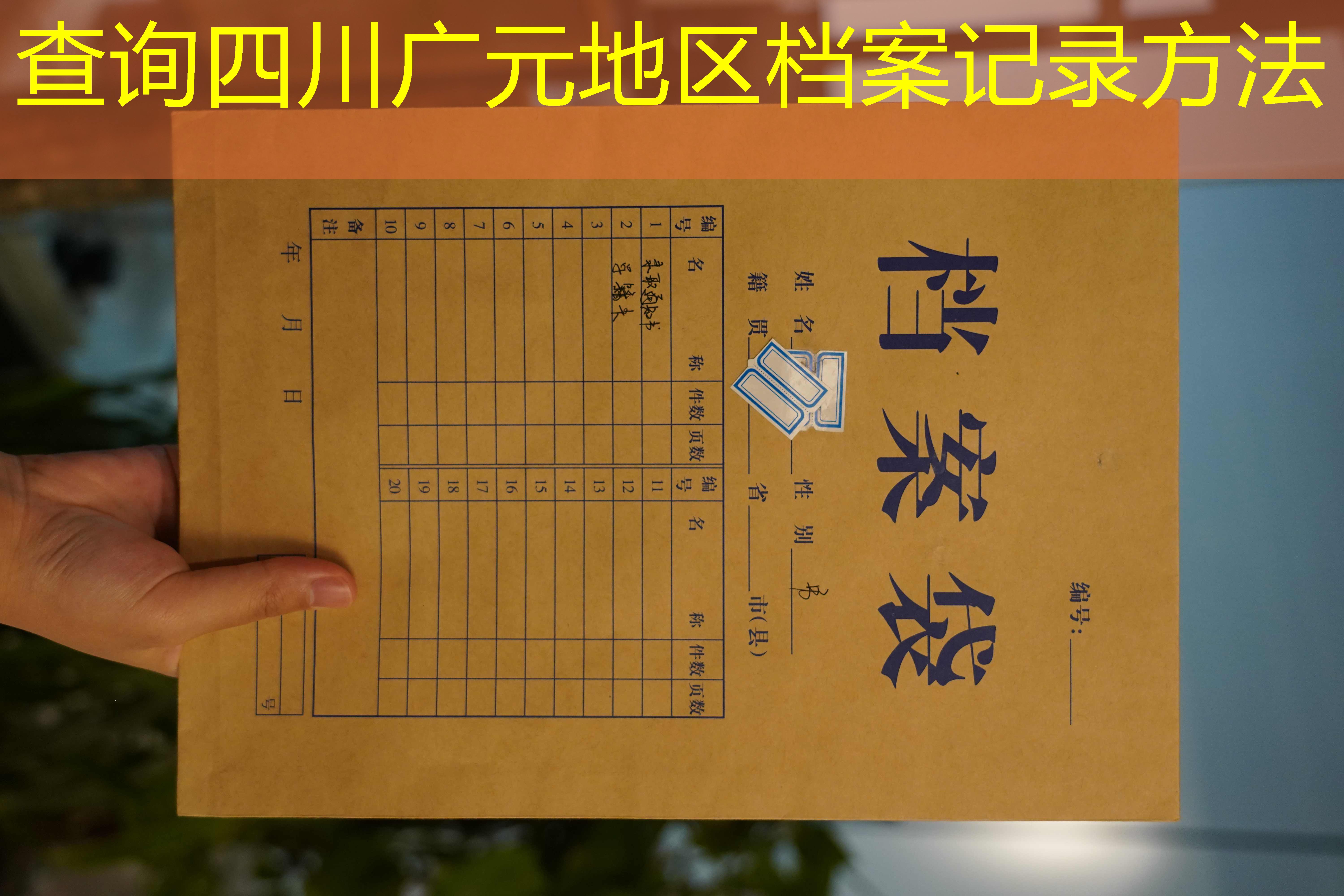 档案查询
