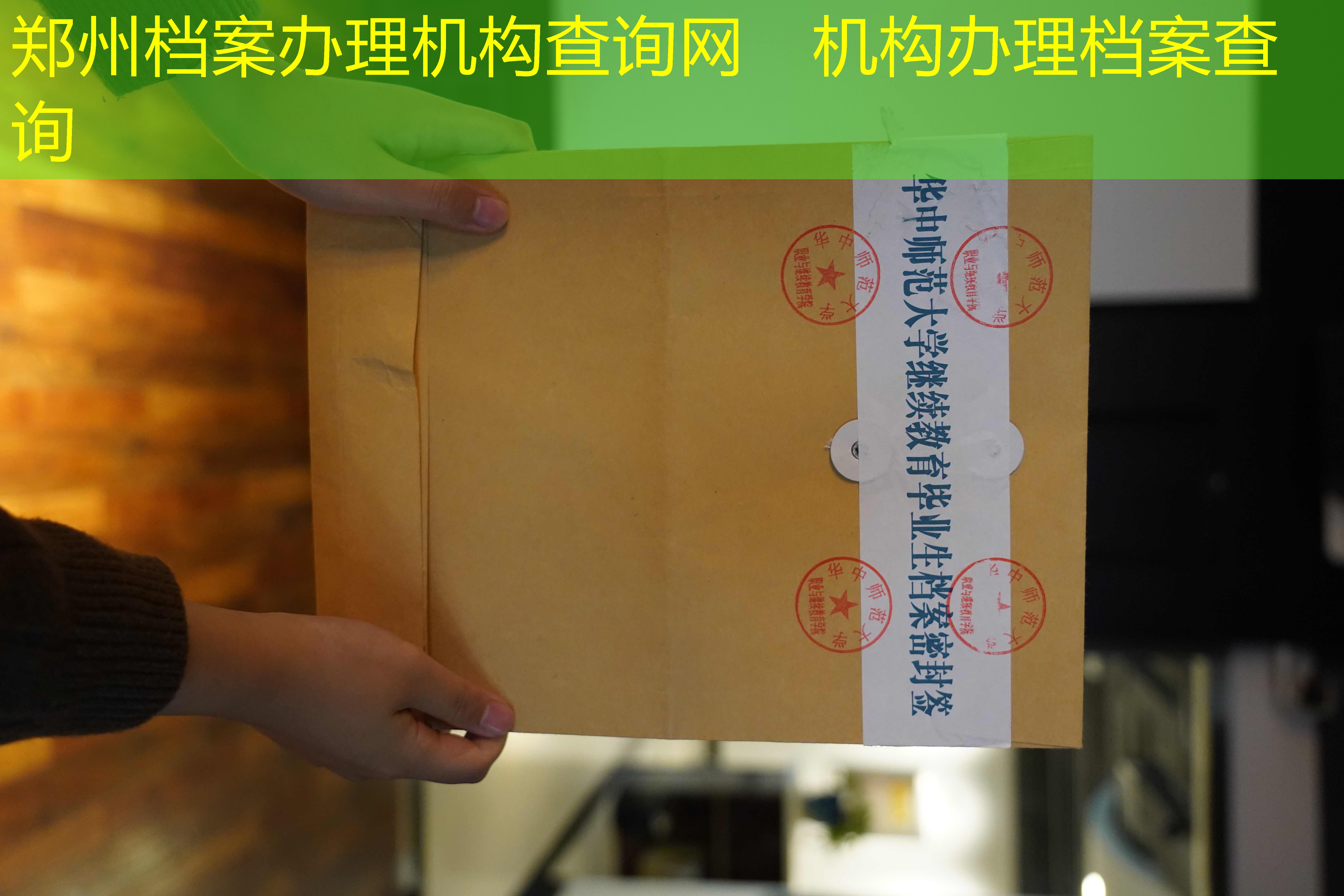 档案查询
