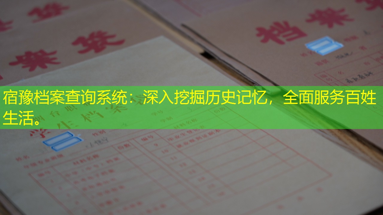 档案查询