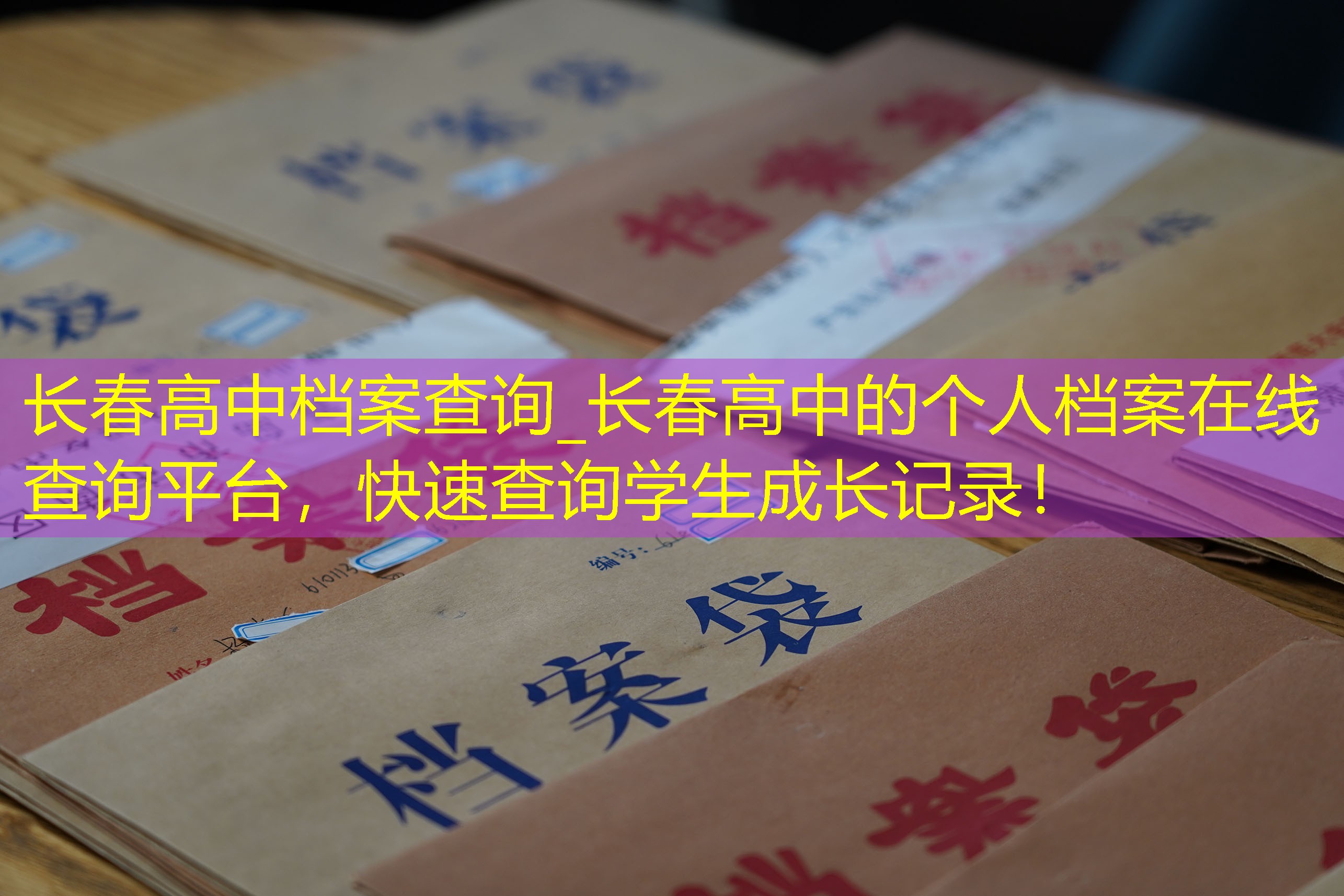 档案查询