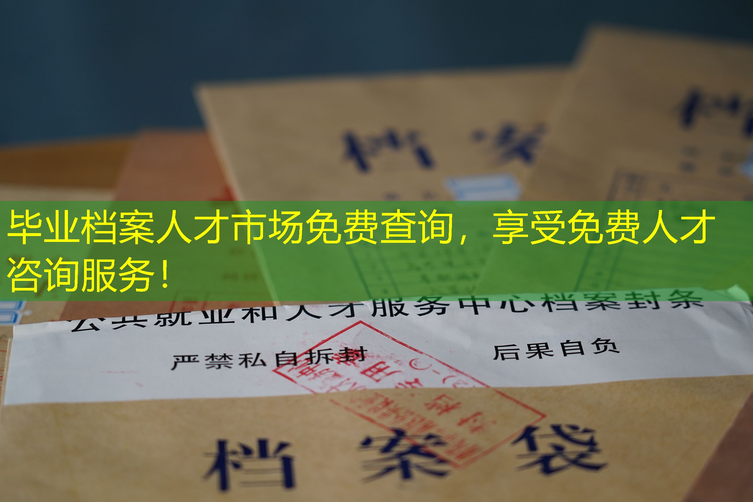 档案查询