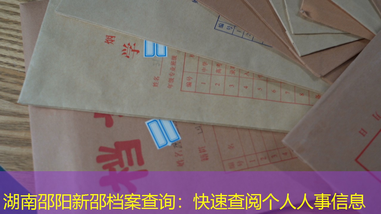 档案查询