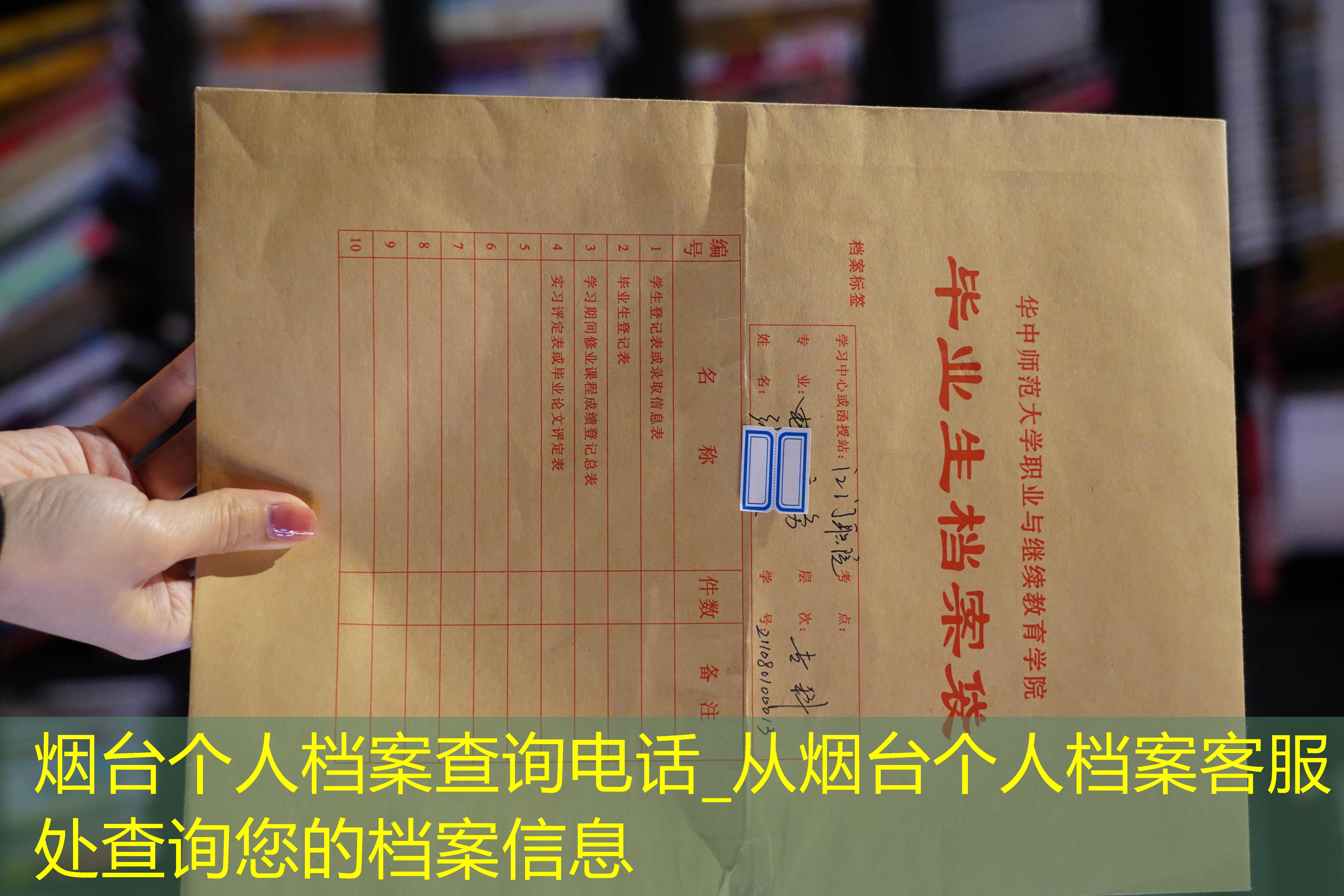 档案查询