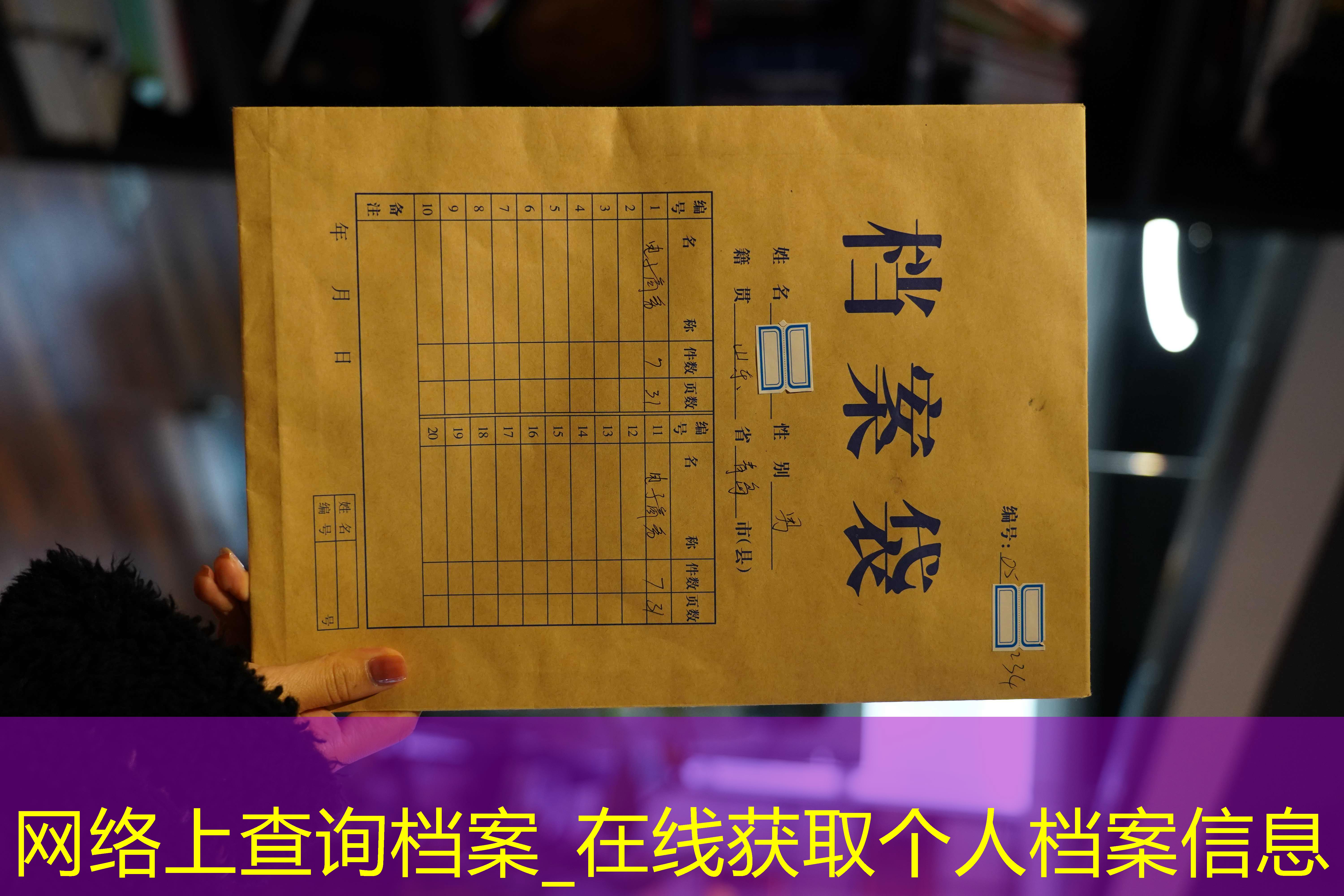 档案查询