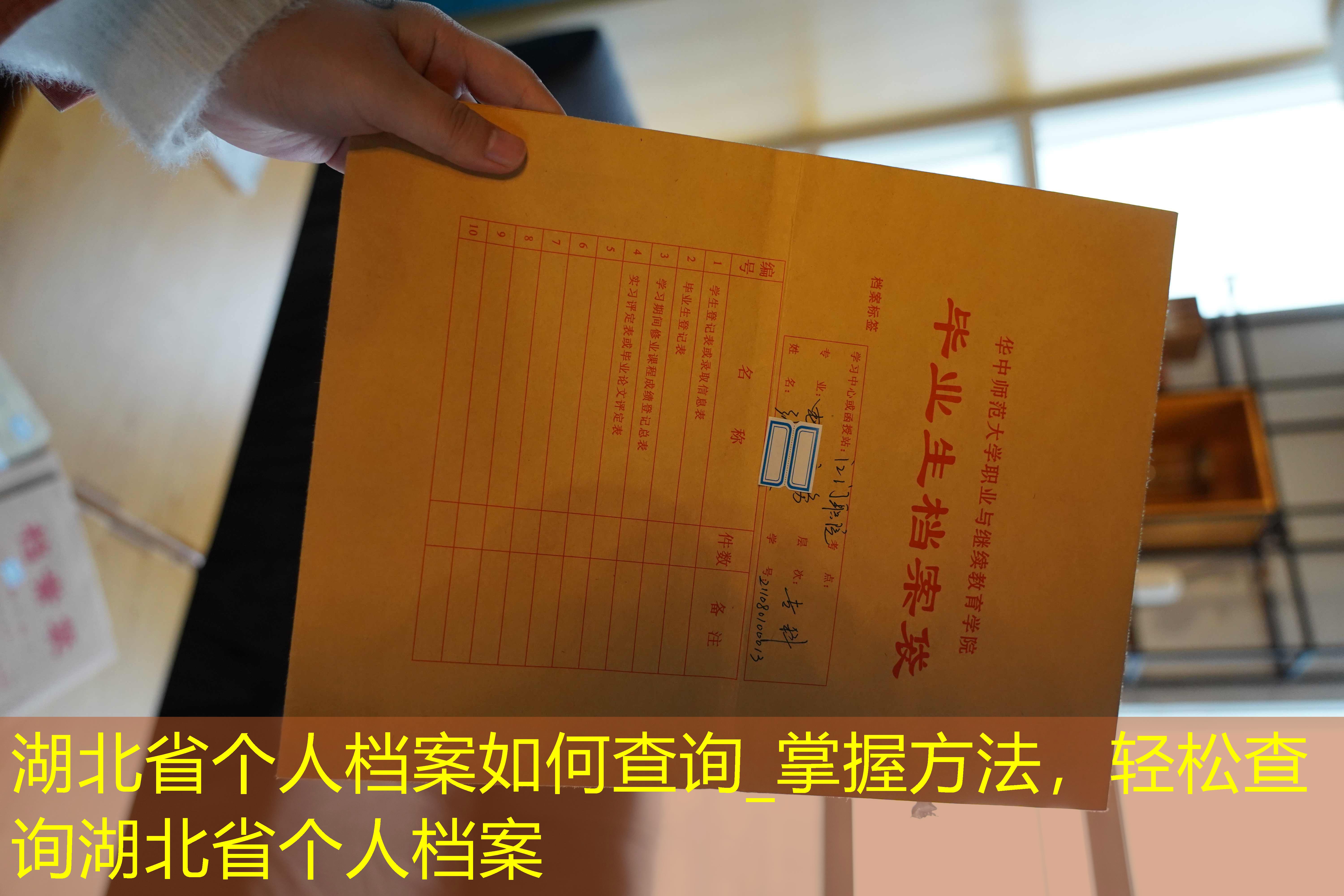 档案查询