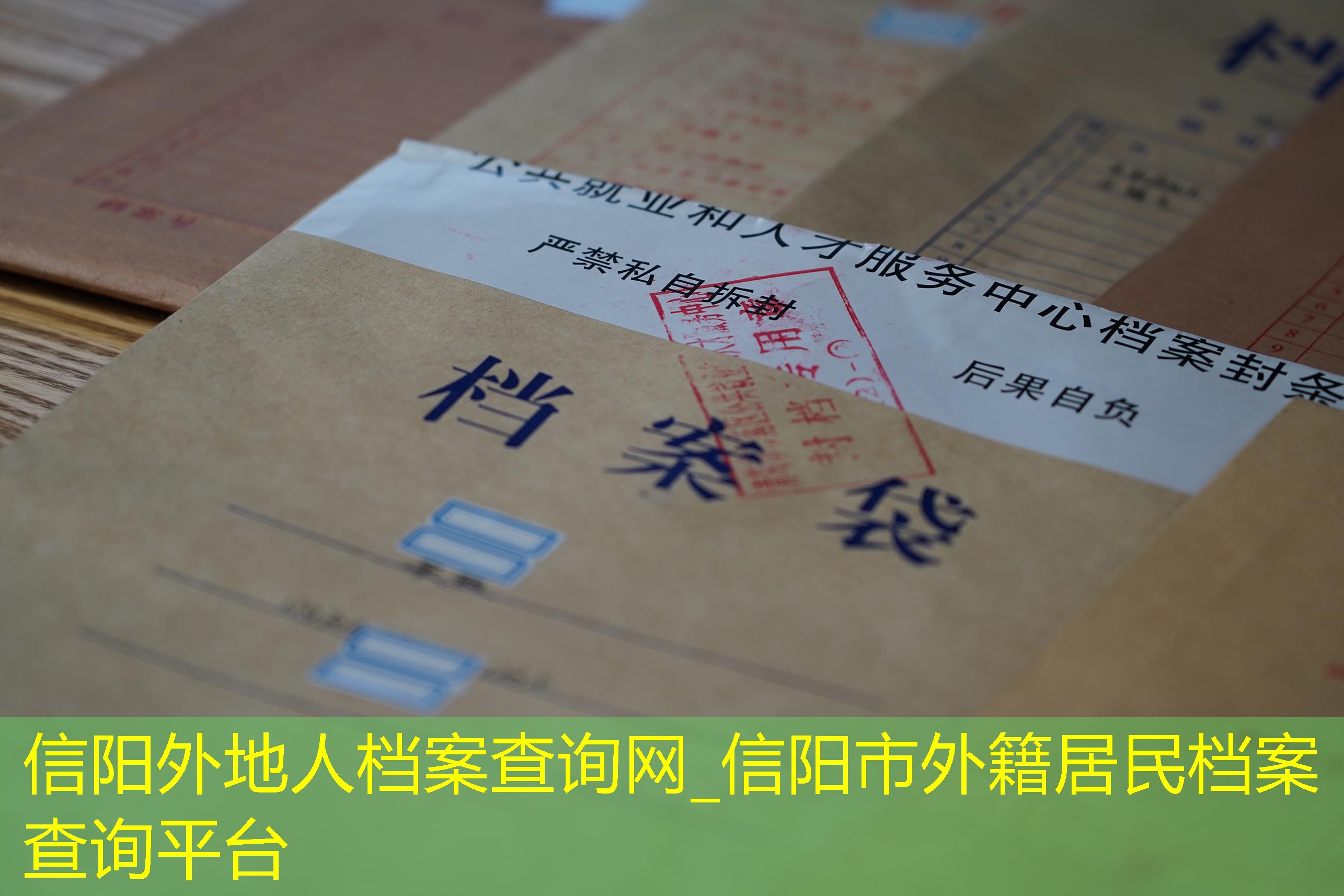 档案查询