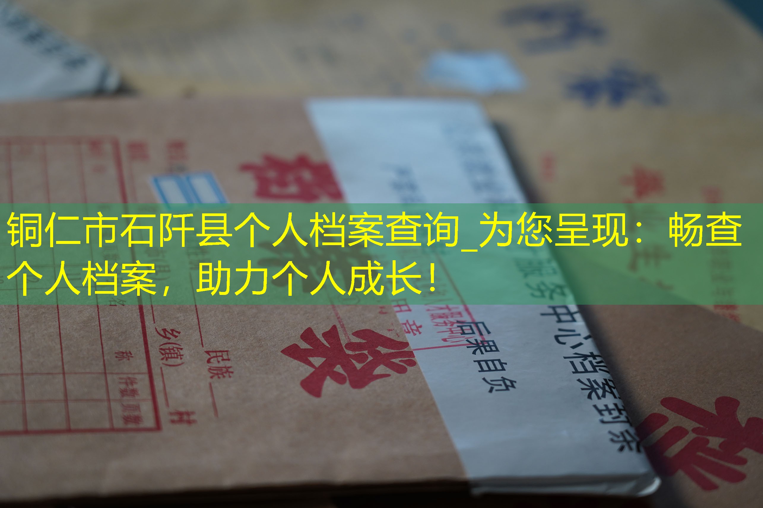 档案查询