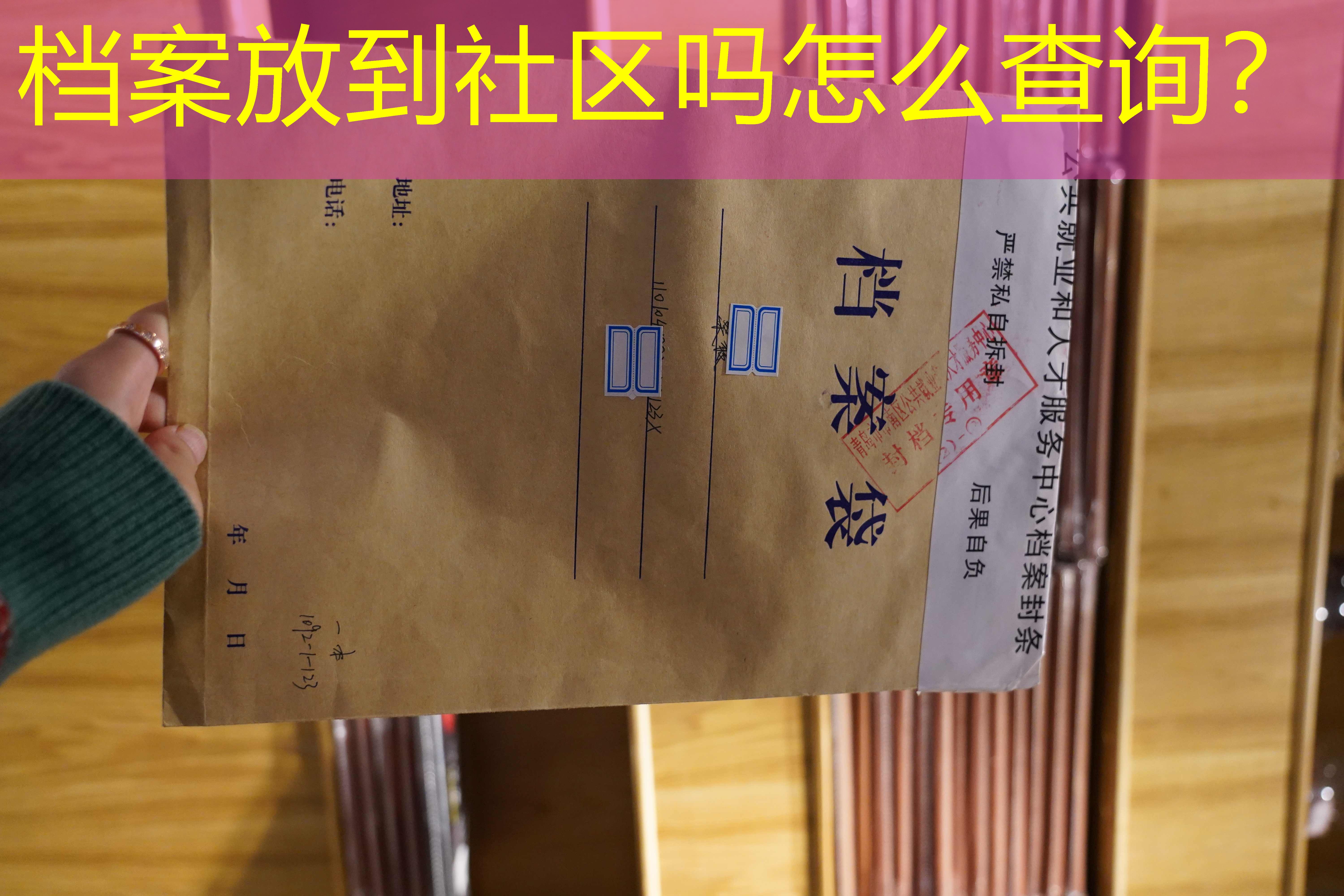 档案查询