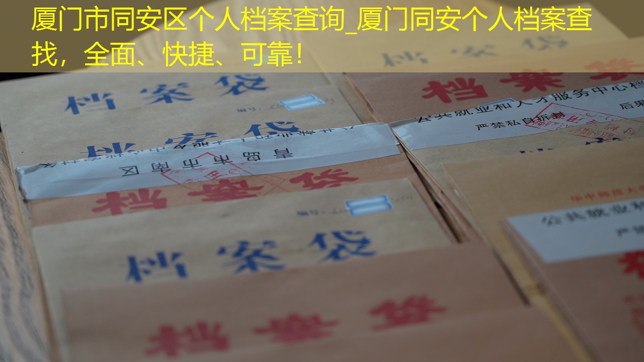 档案查询