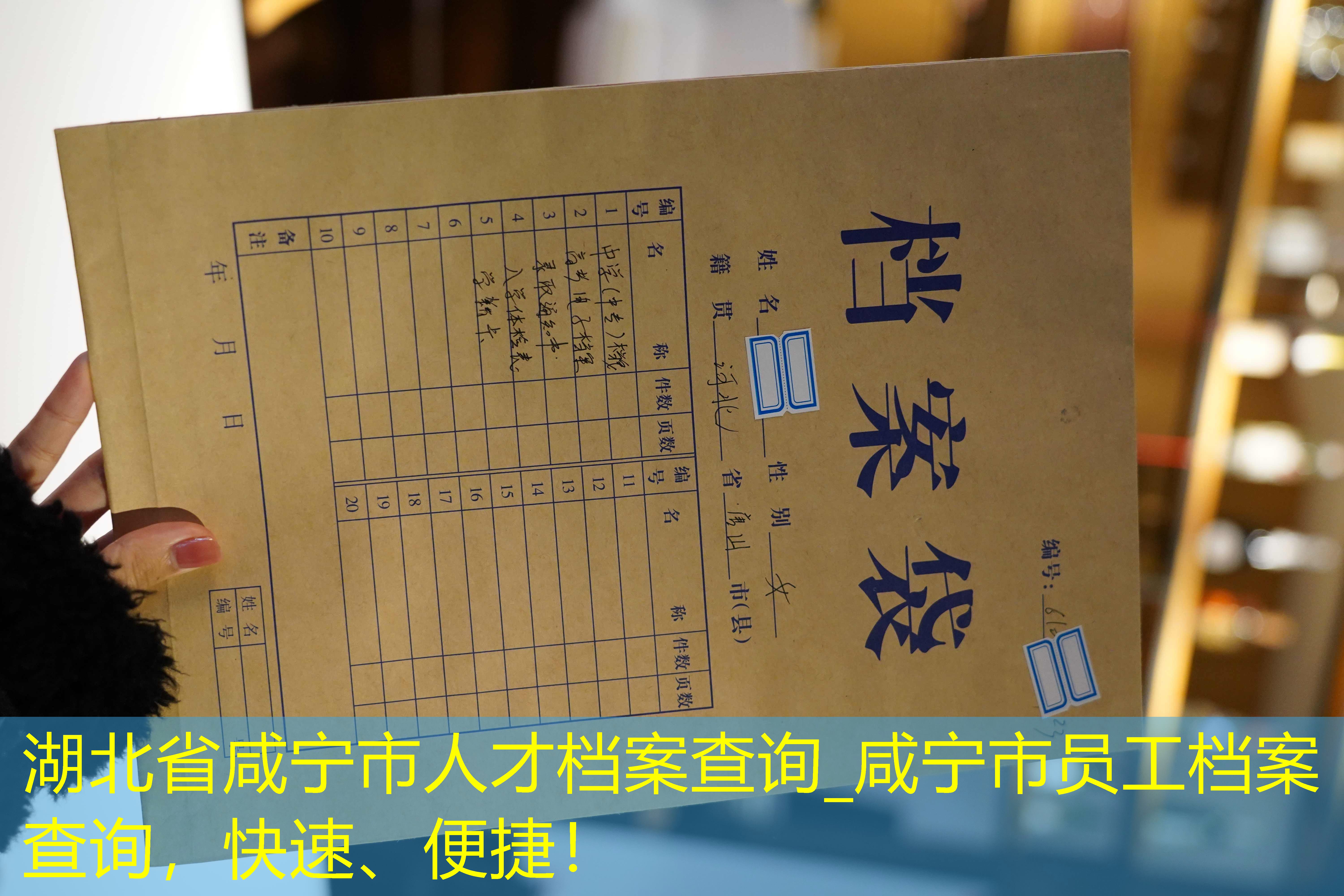档案查询