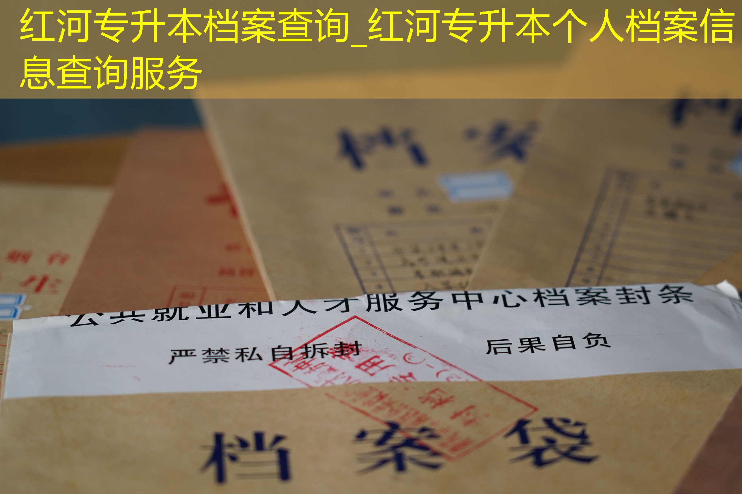 档案查询