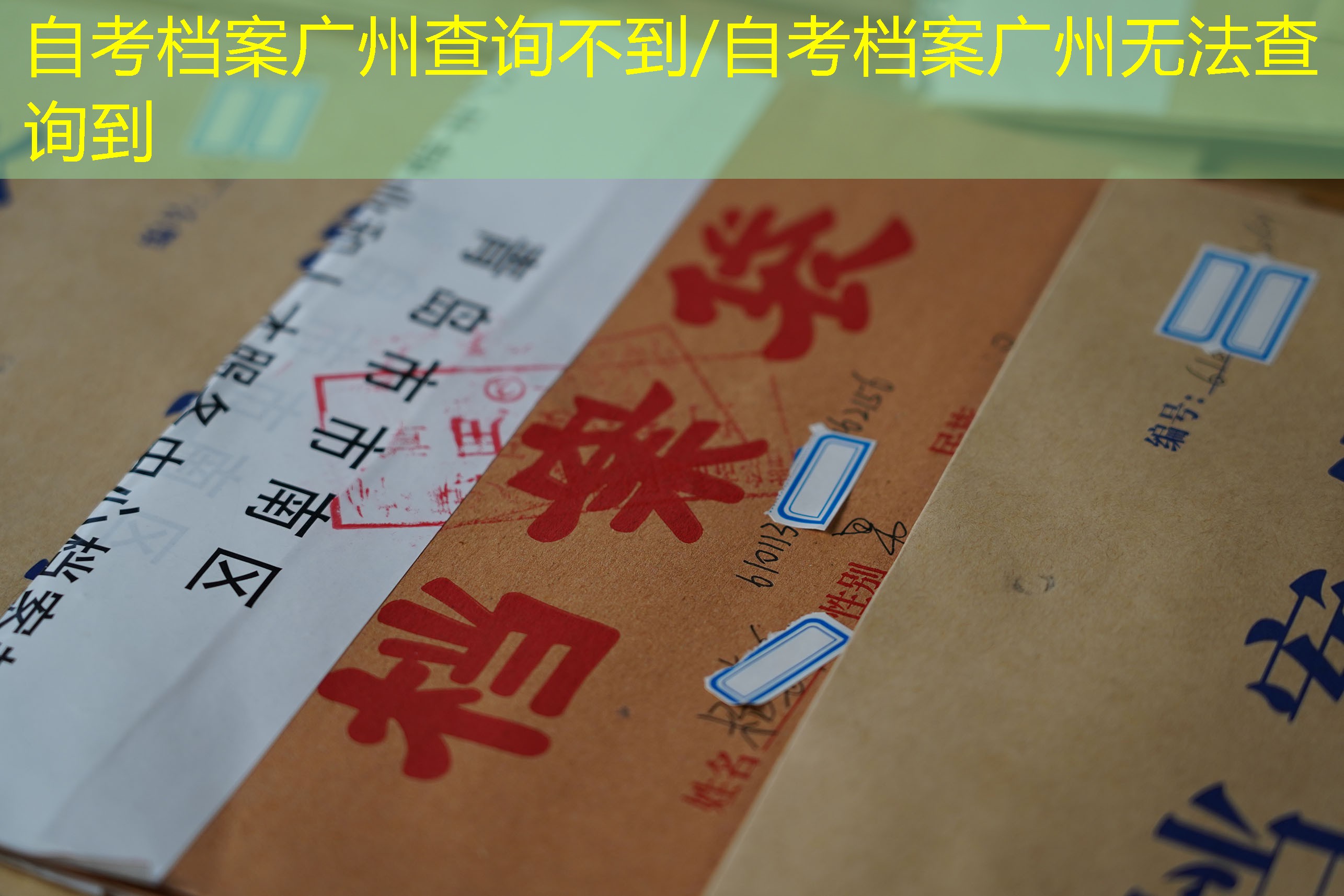 档案查询