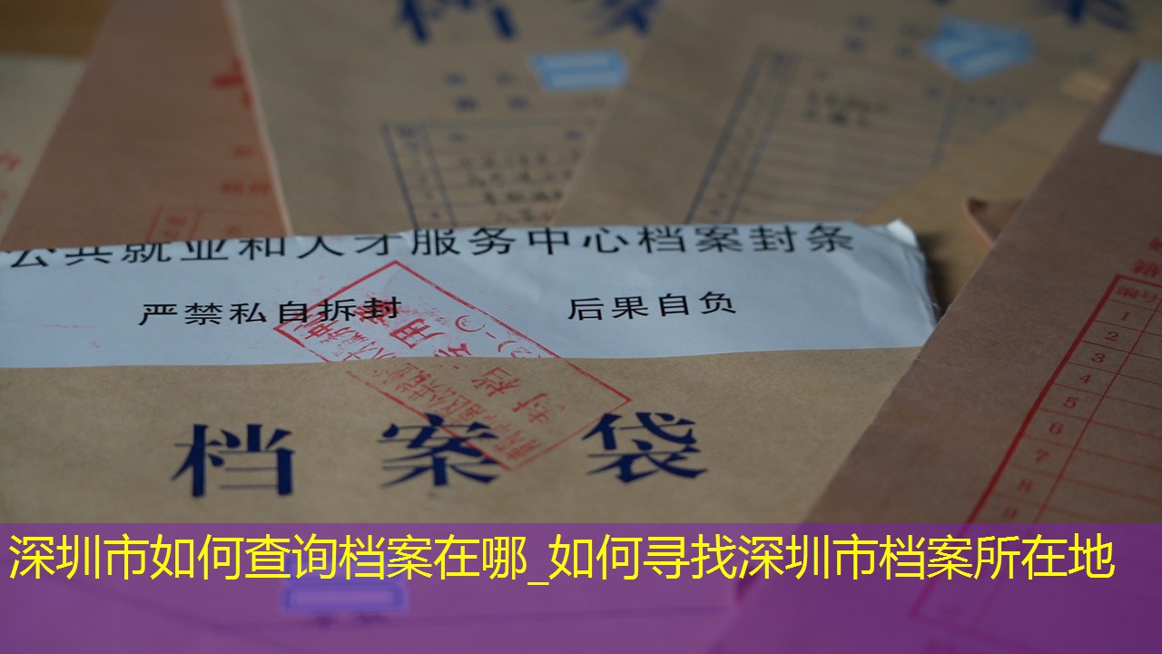 档案查询