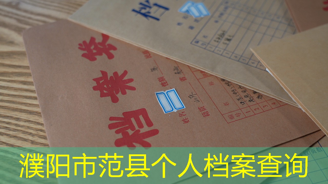 档案查询