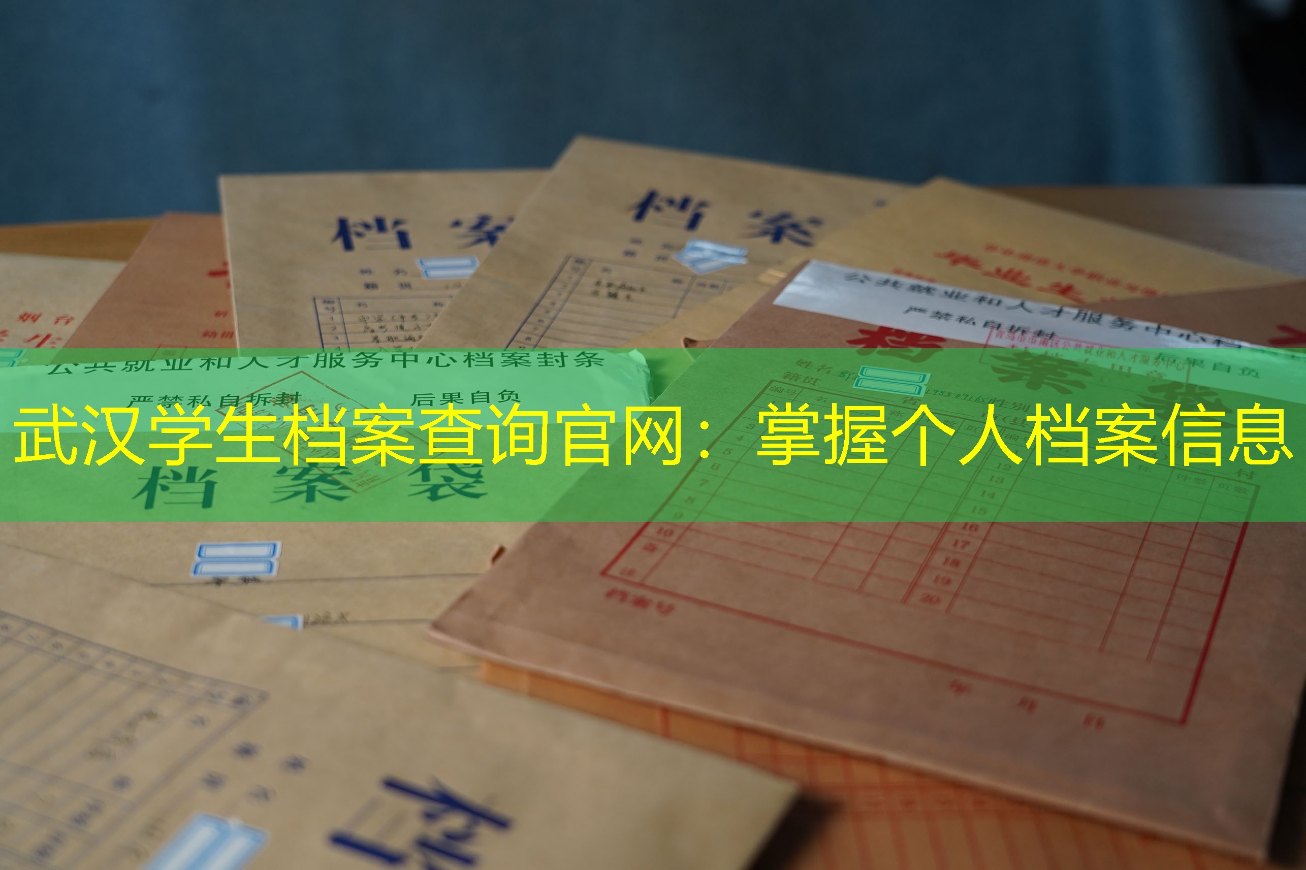 档案查询