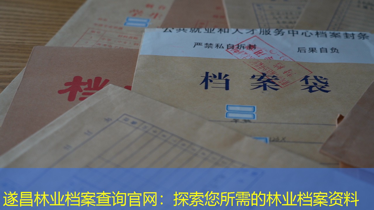 档案查询
