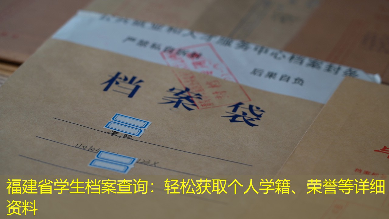 档案查询
