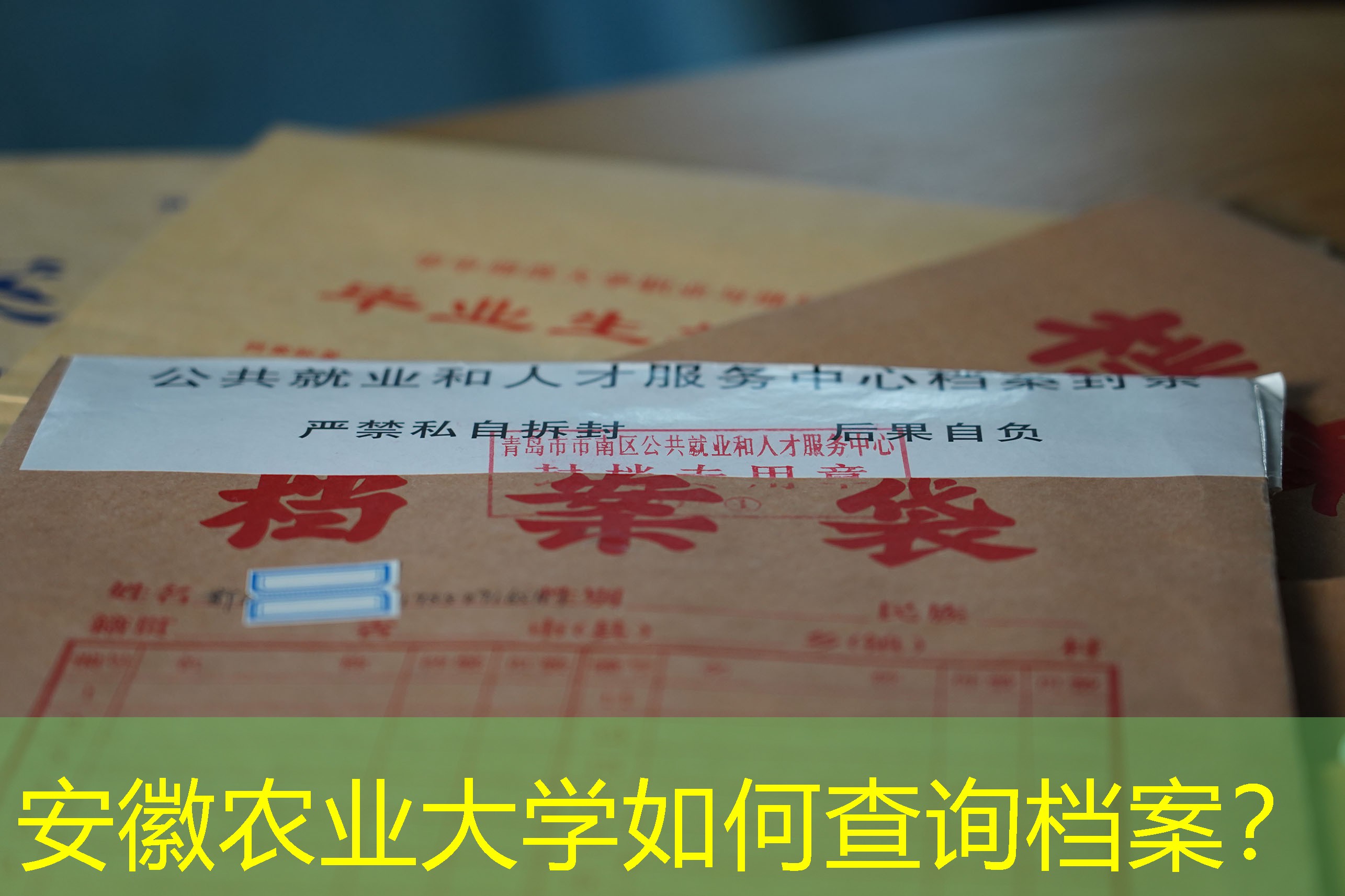 档案查询