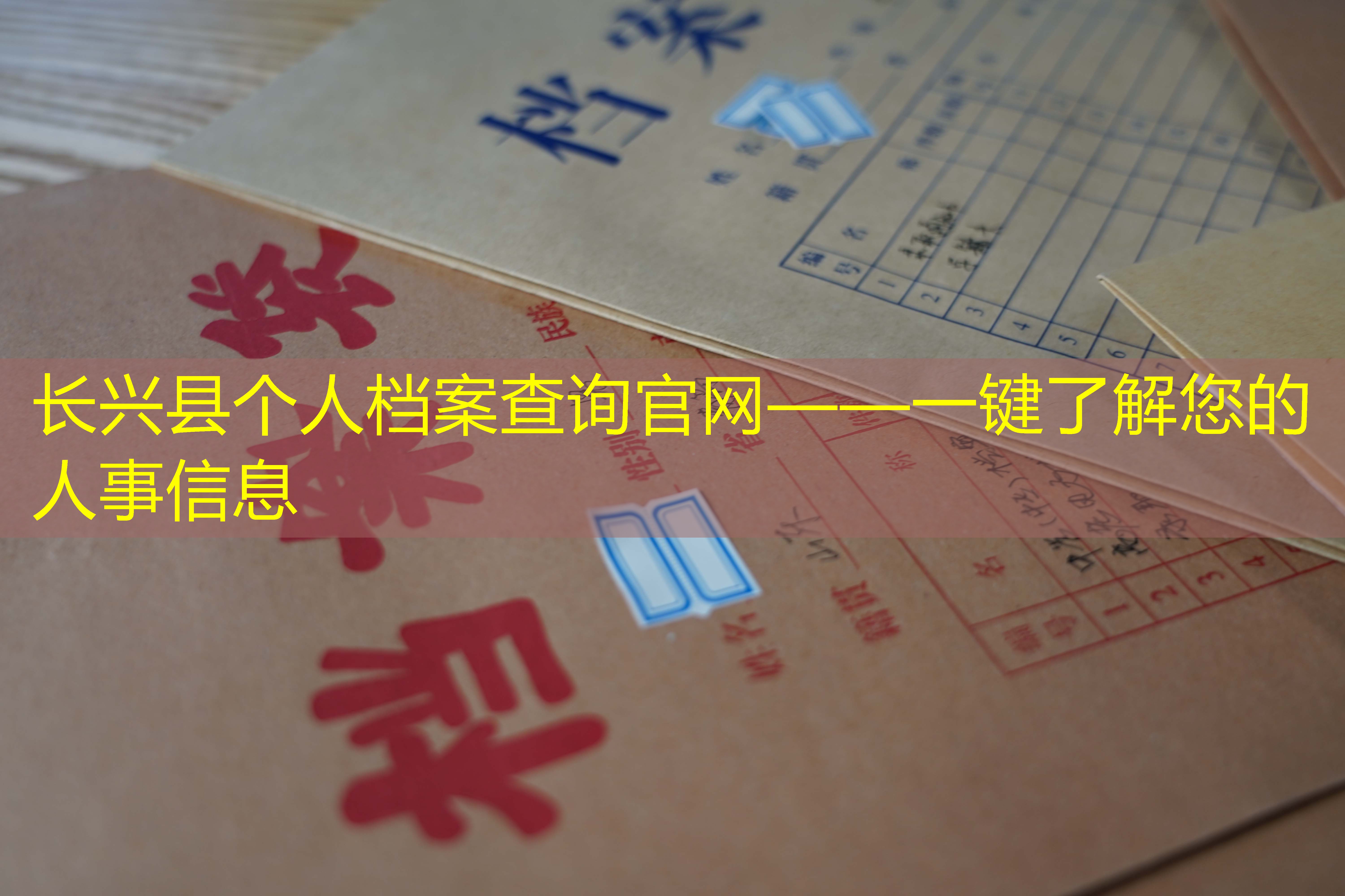 档案查询