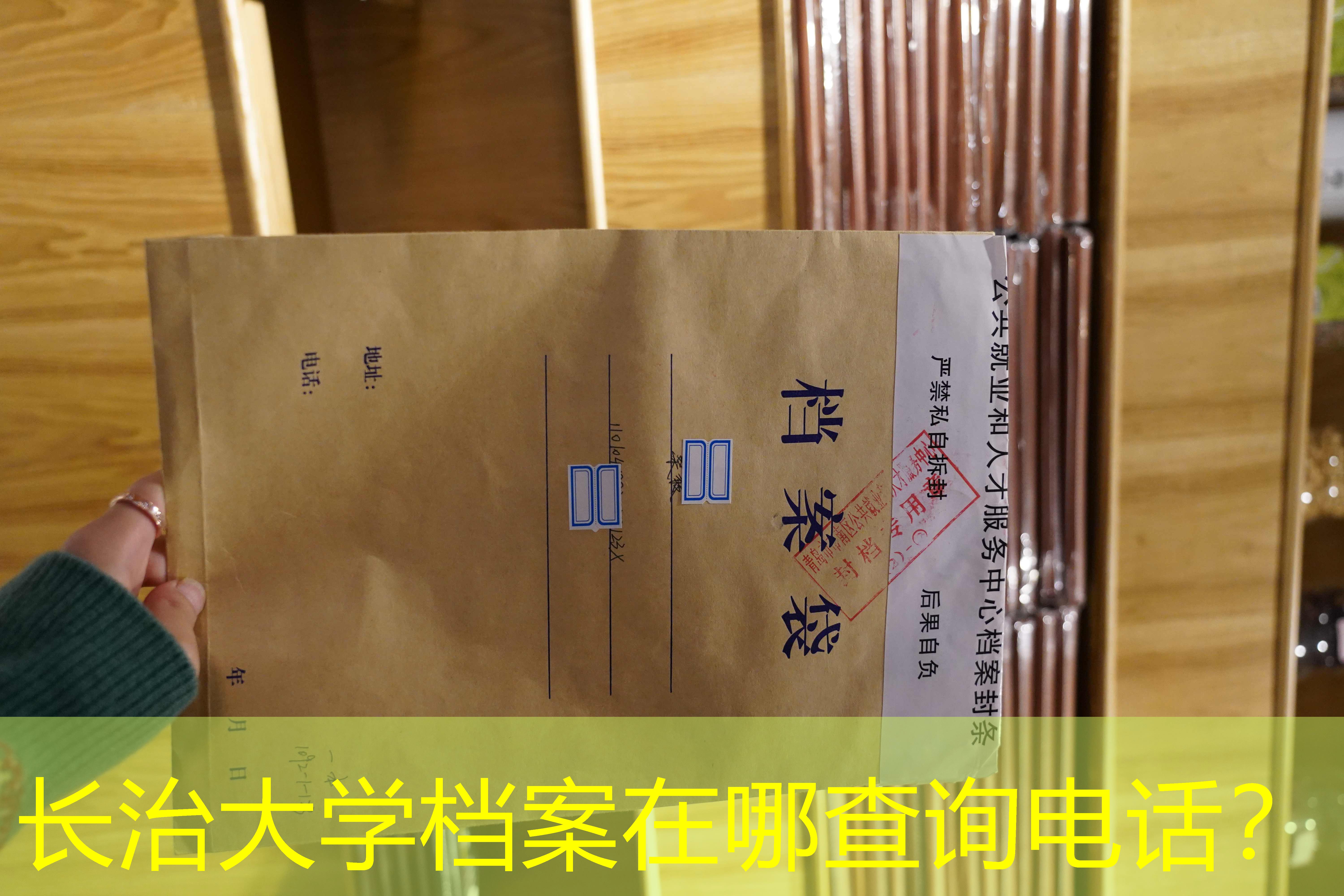 档案查询
