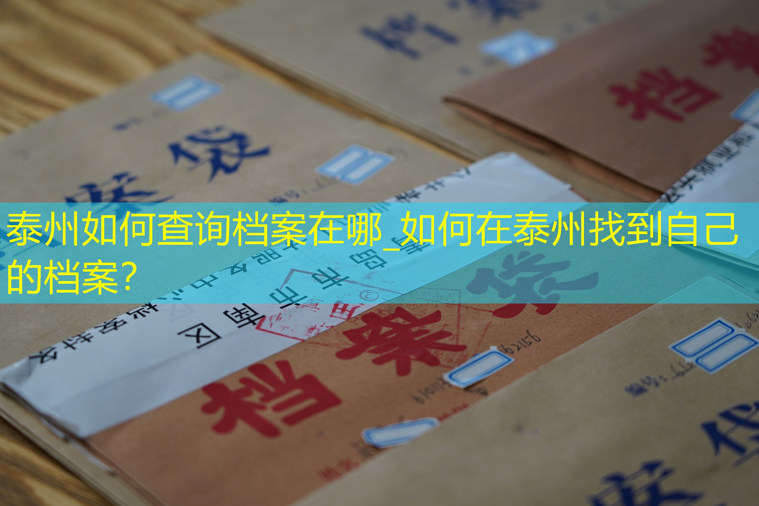 档案查询