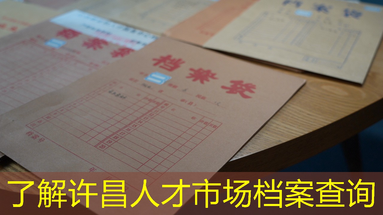 档案查询