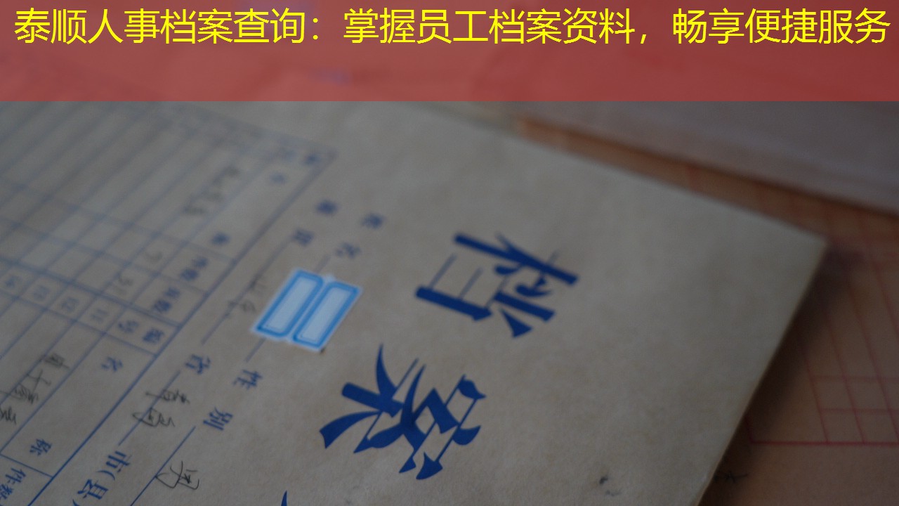 档案查询