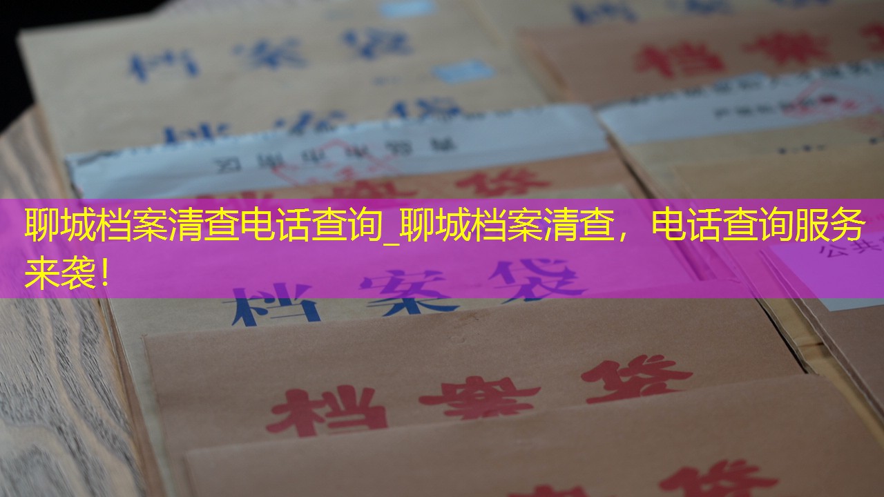 档案查询