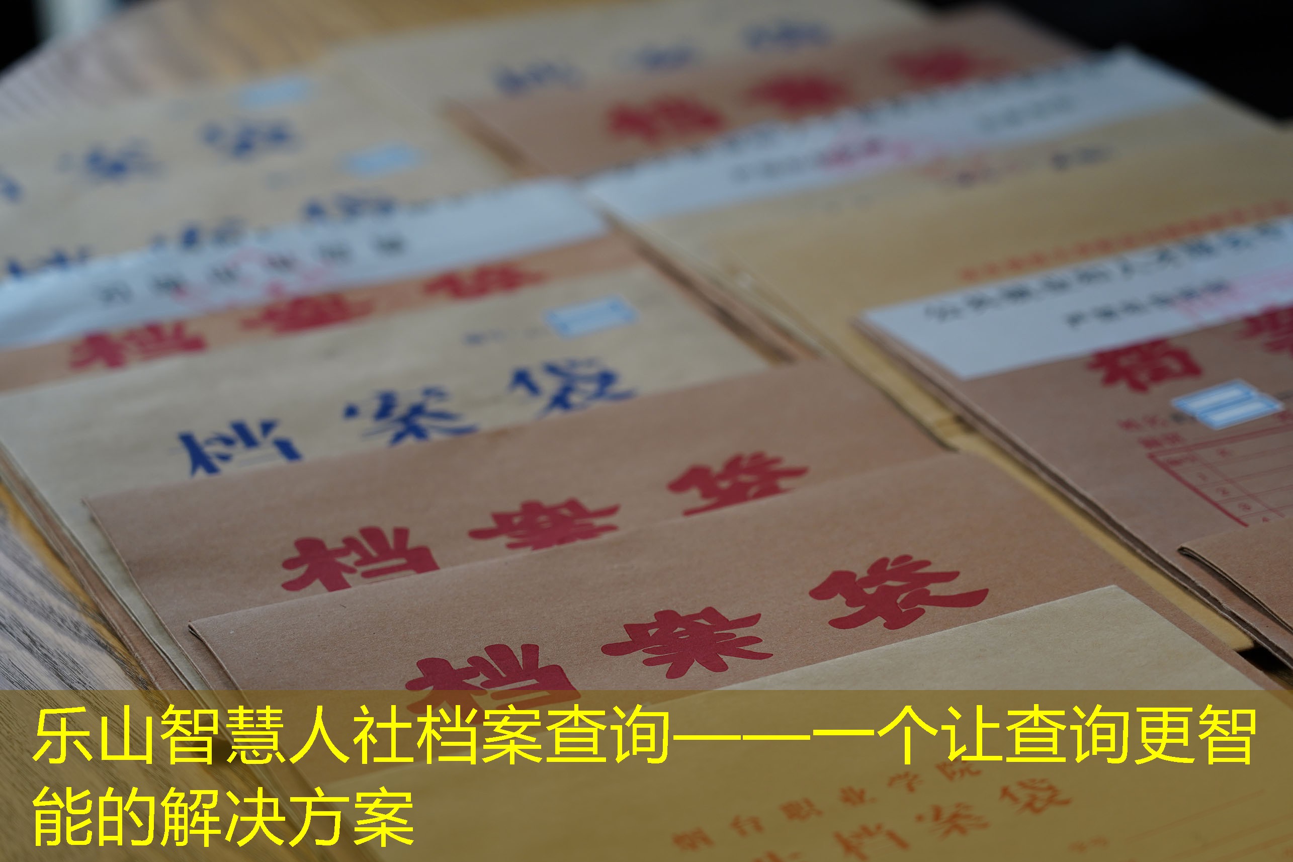 档案查询