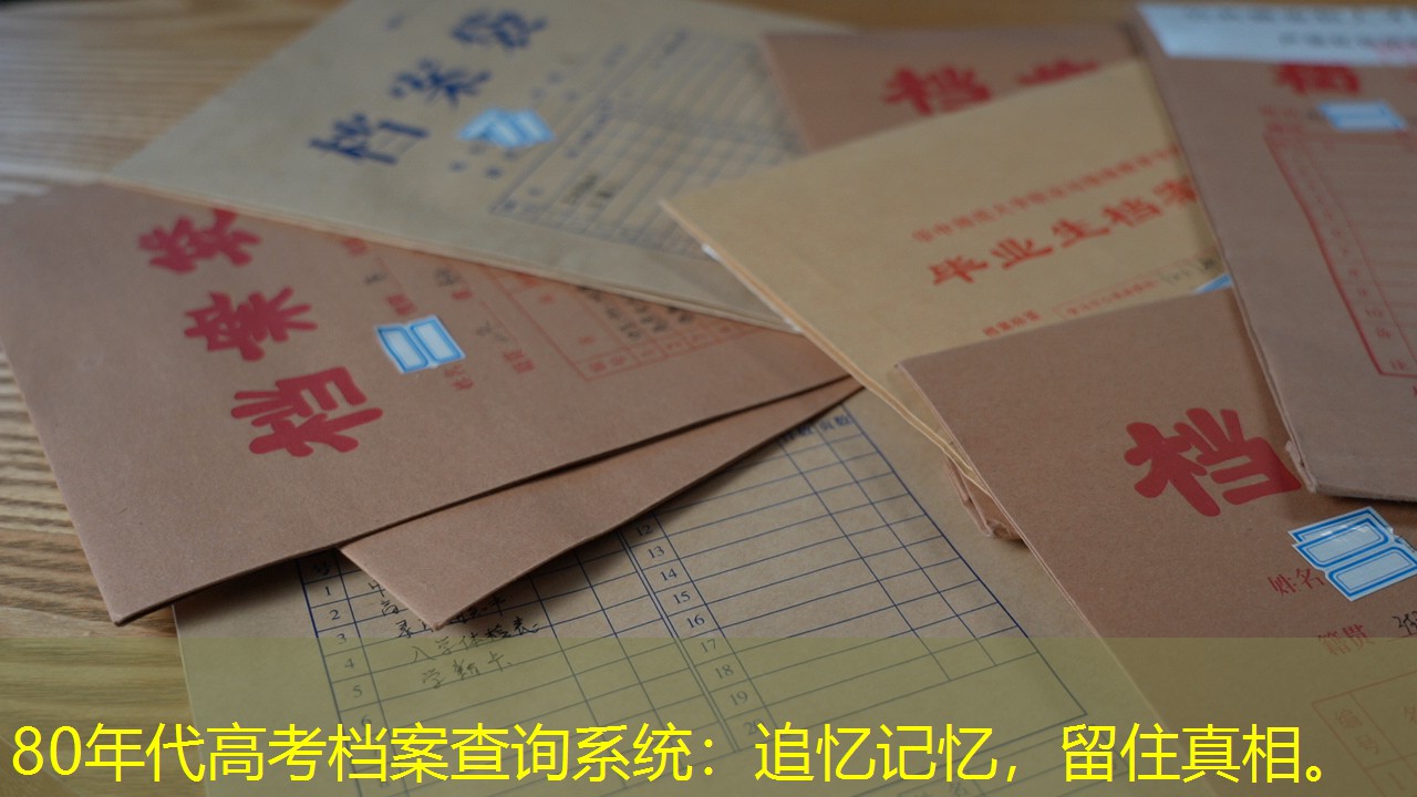 档案查询