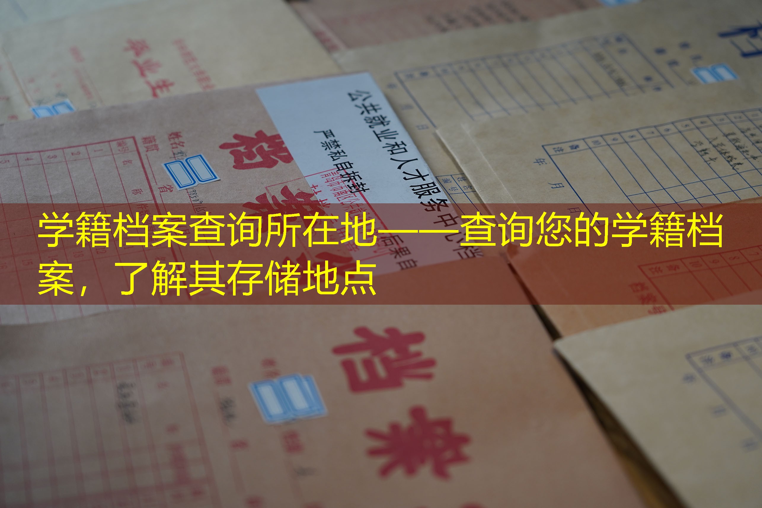 档案查询