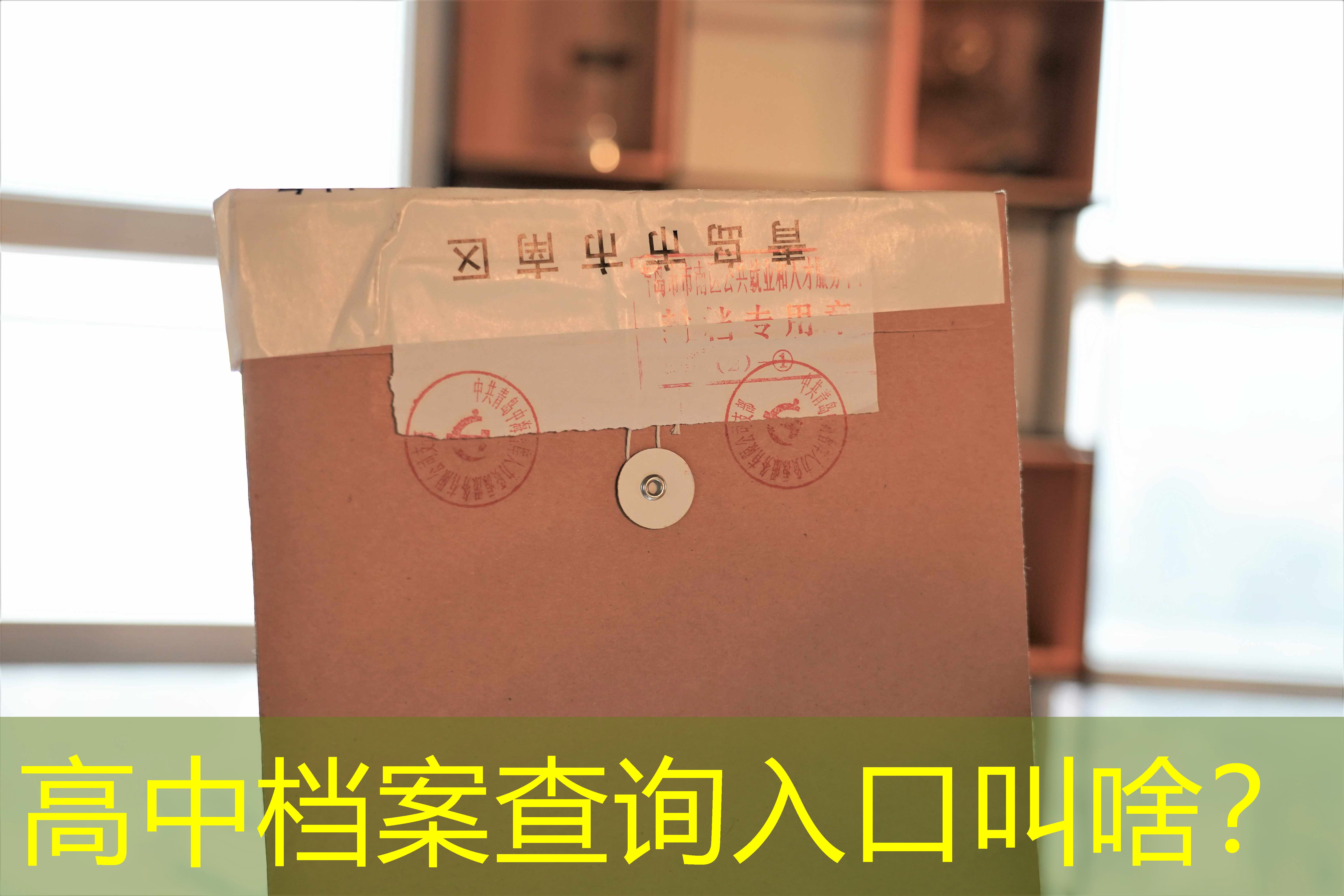 档案查询