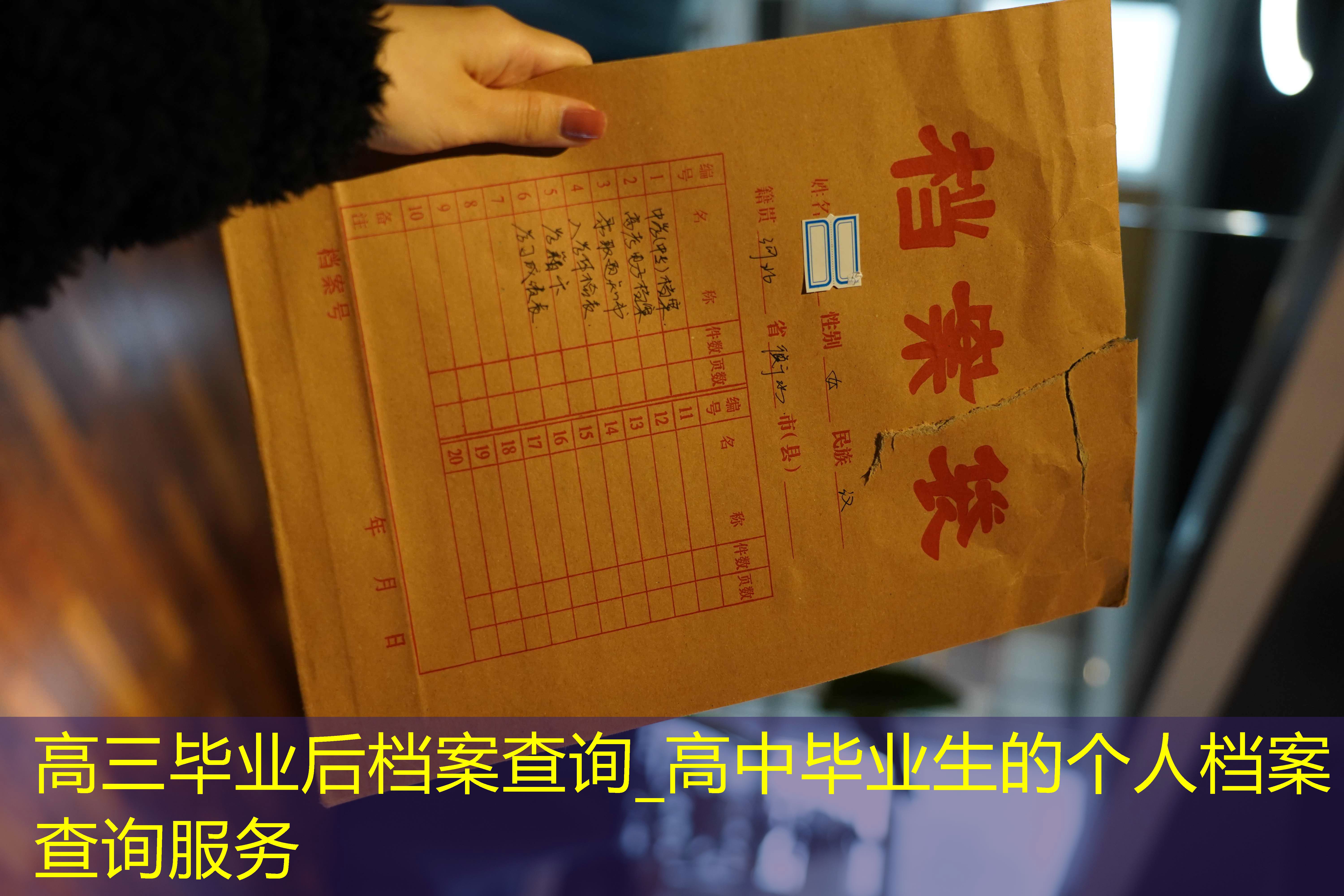 档案查询