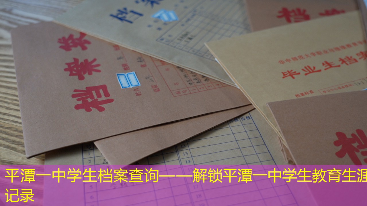 档案查询