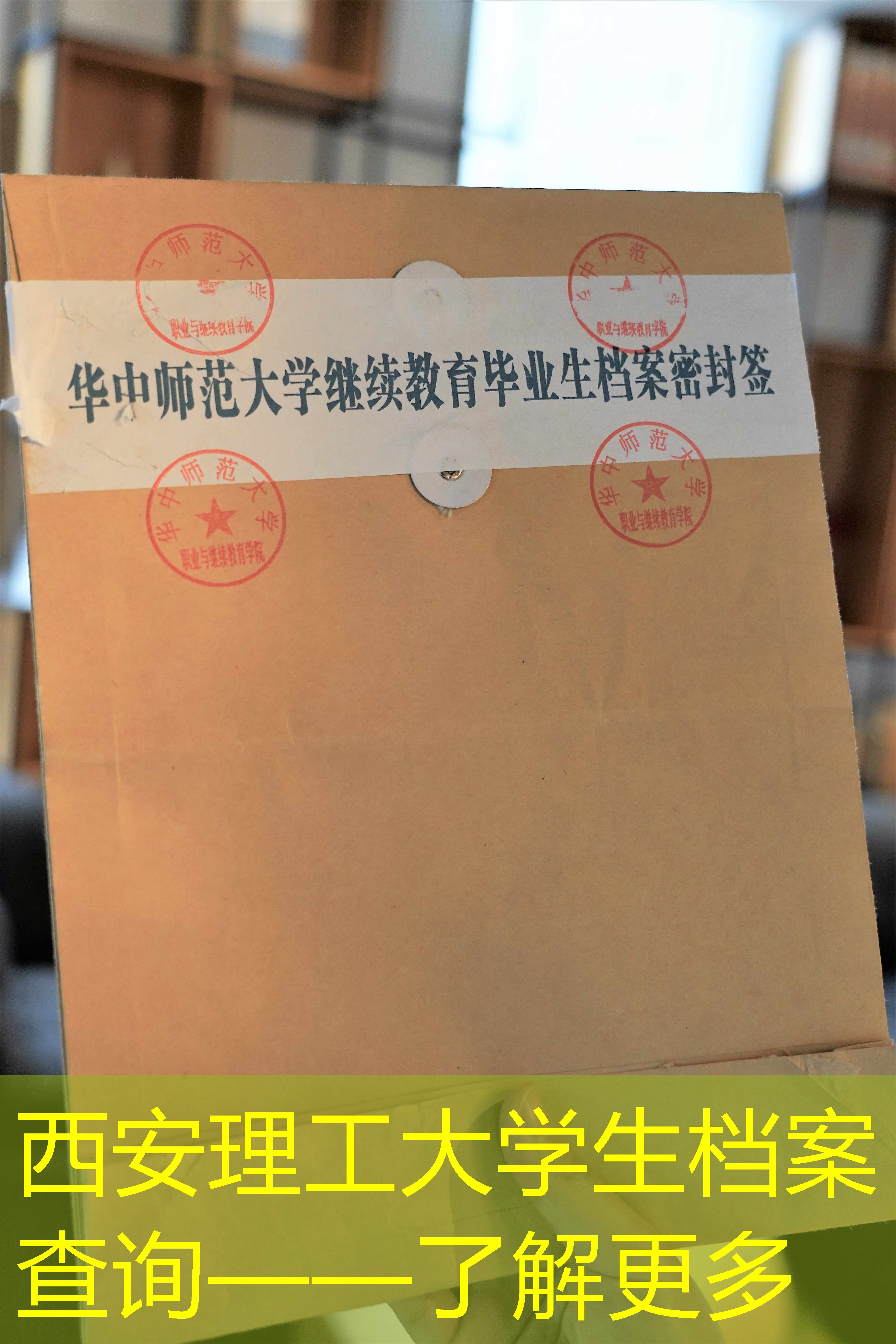 档案查询