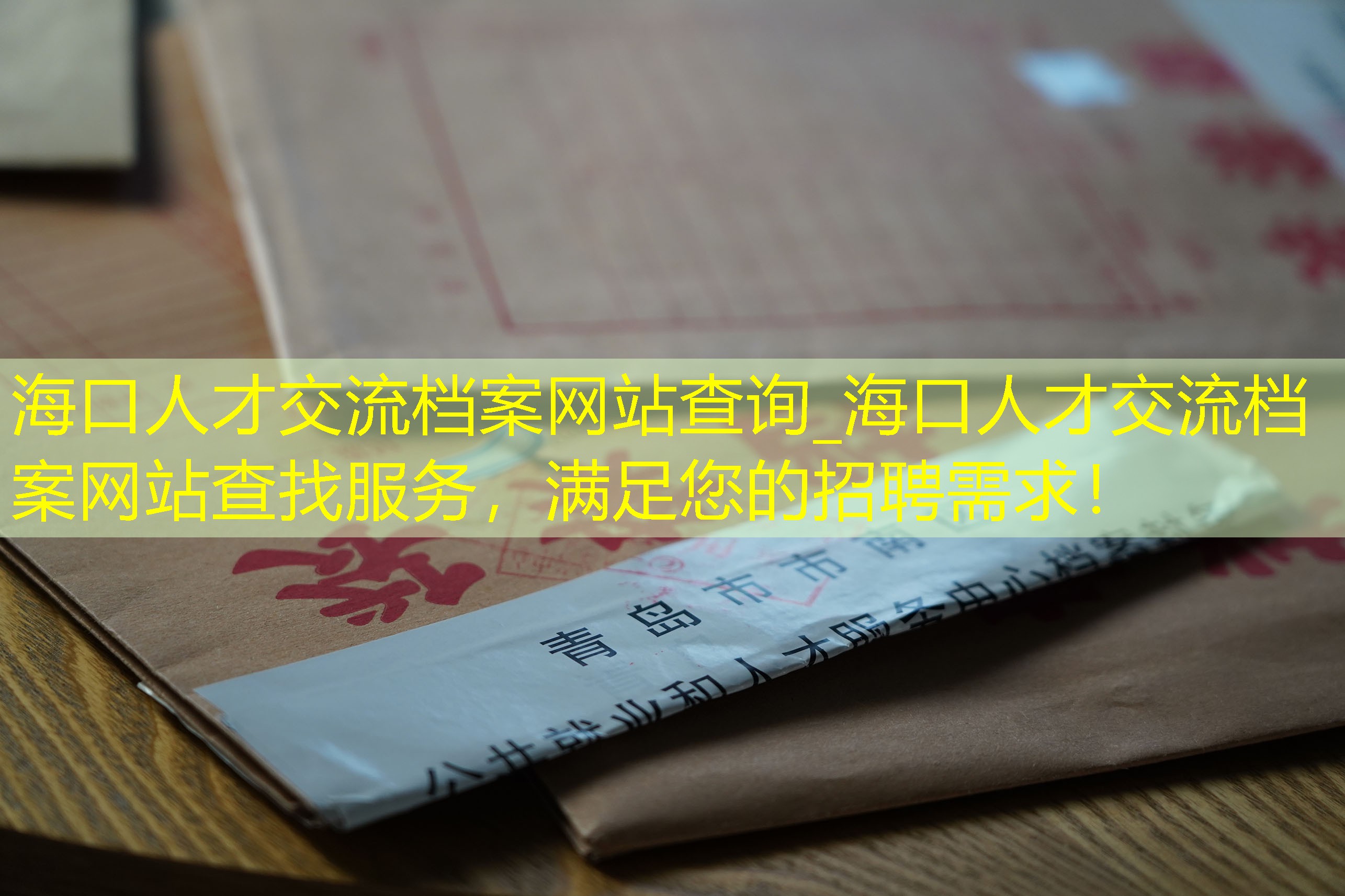 档案查询