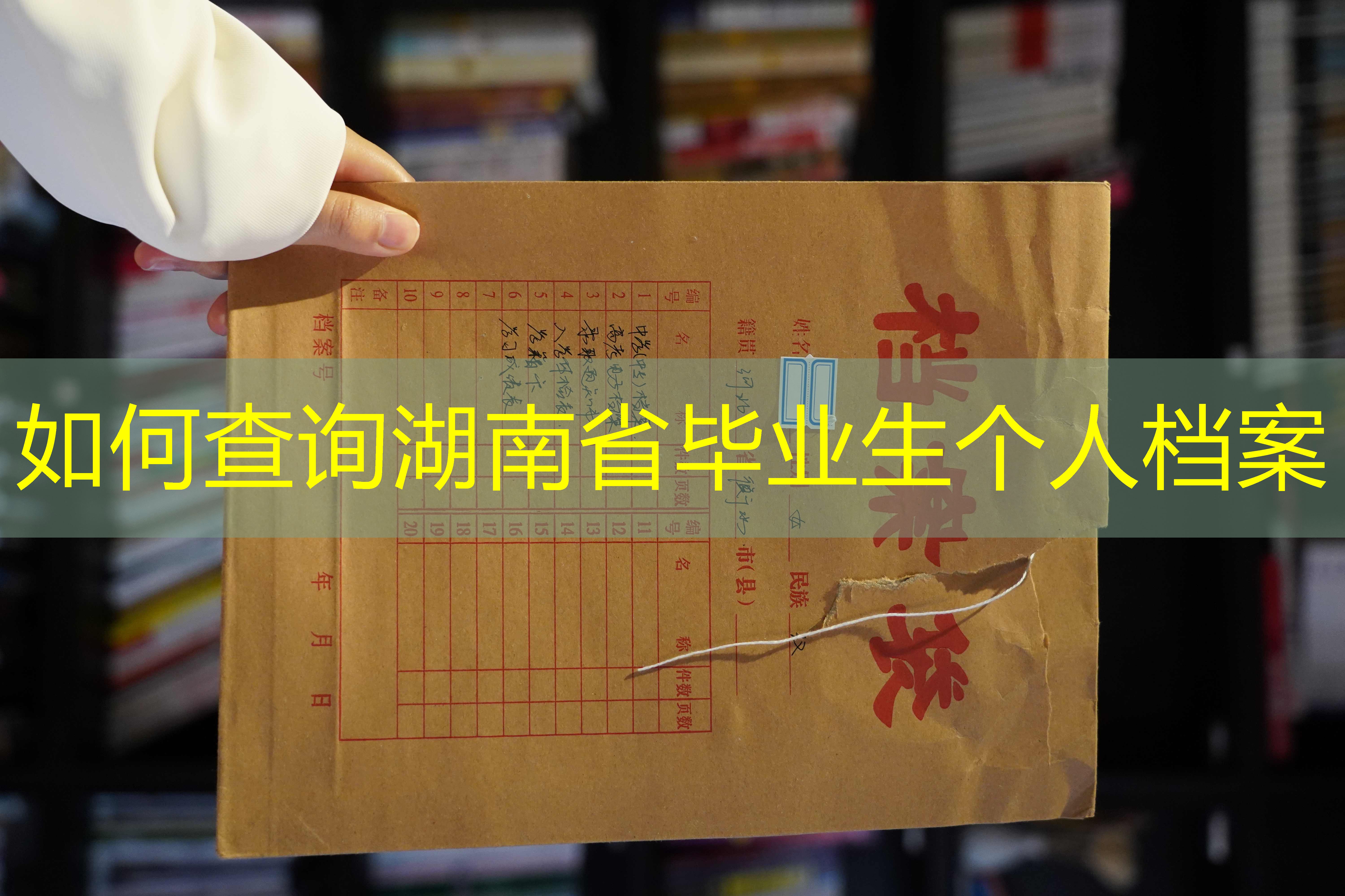 档案查询