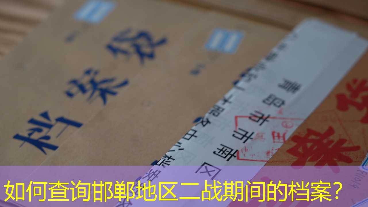 档案查询