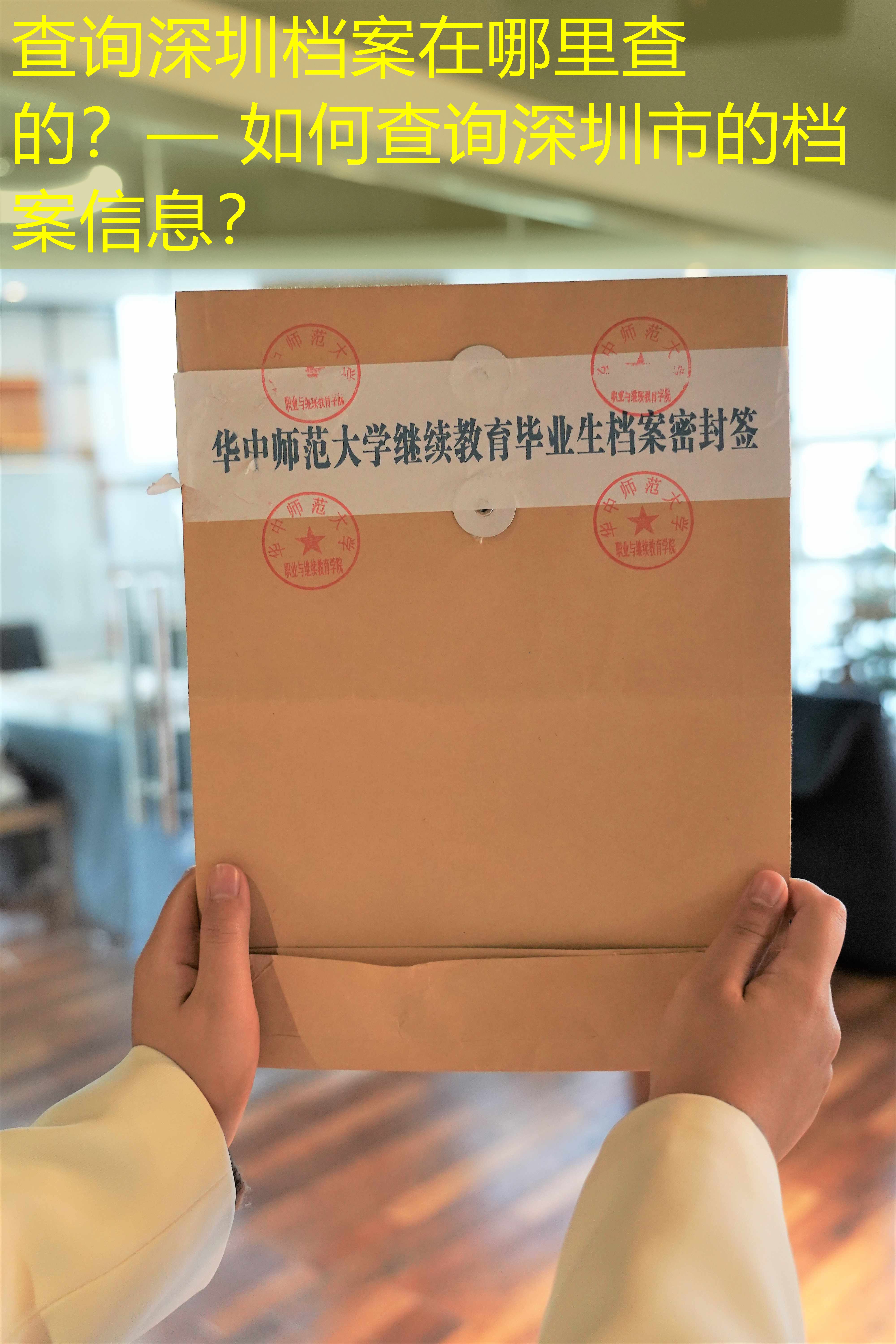 档案查询