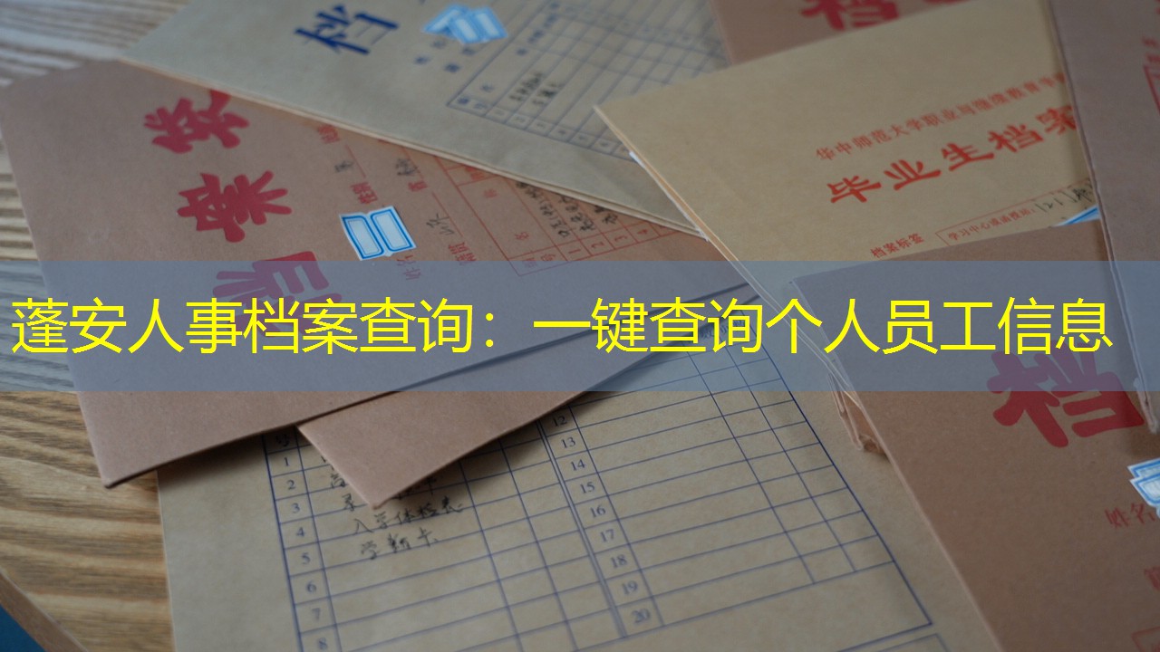 档案查询