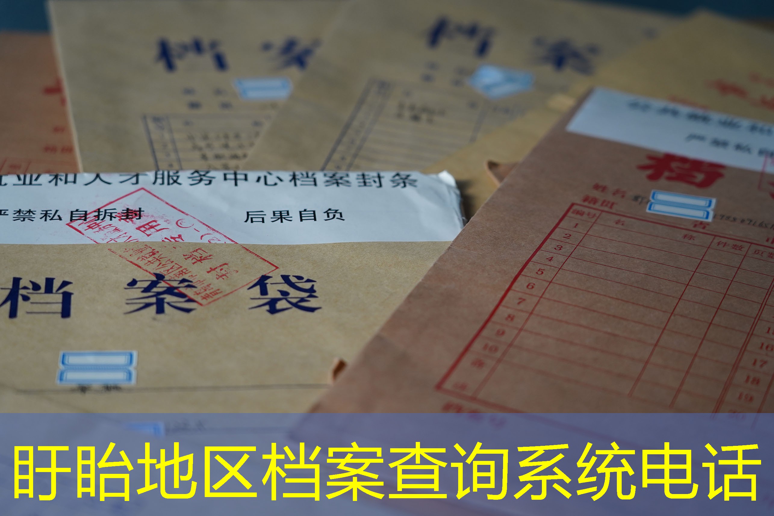 档案查询