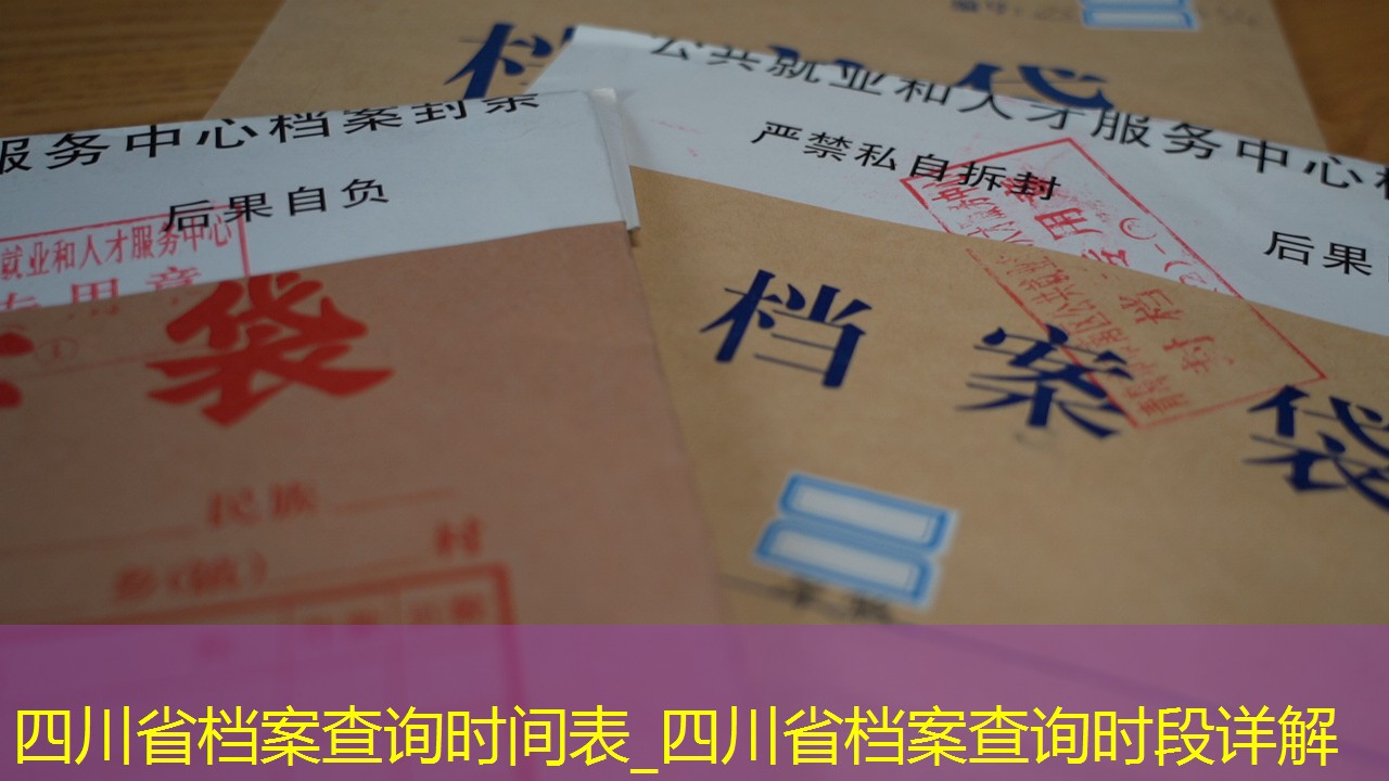 档案查询