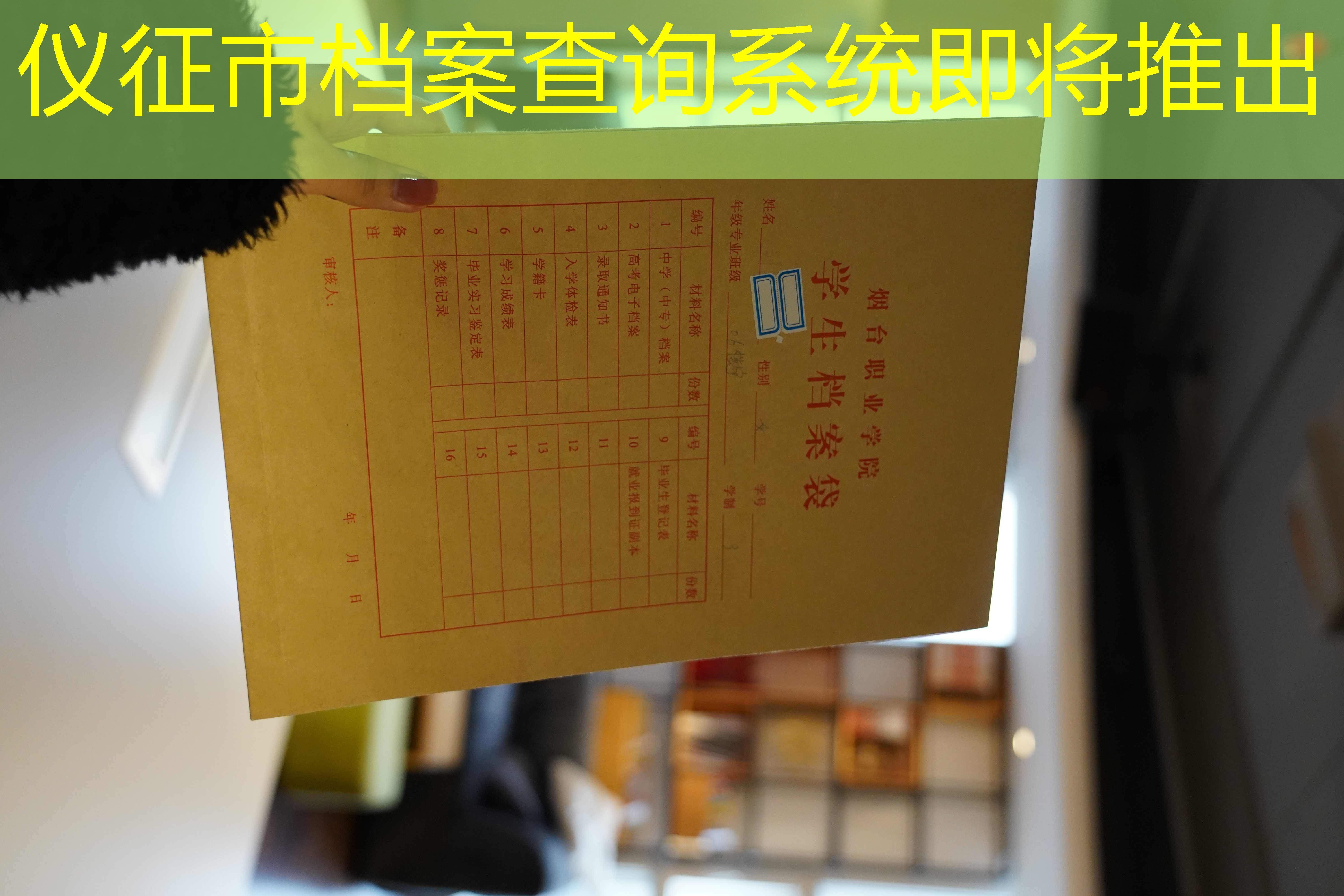 档案查询