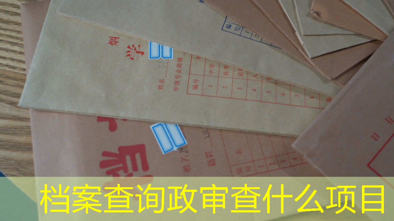 档案查询