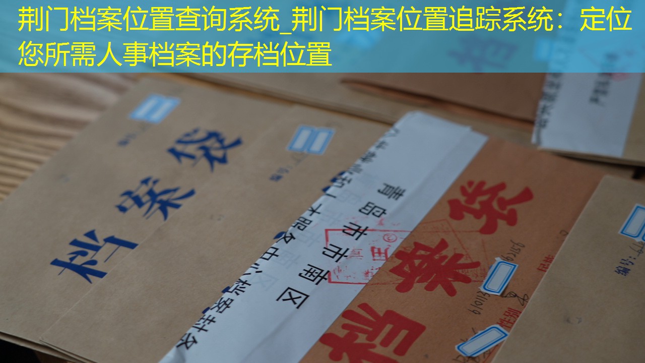 档案查询