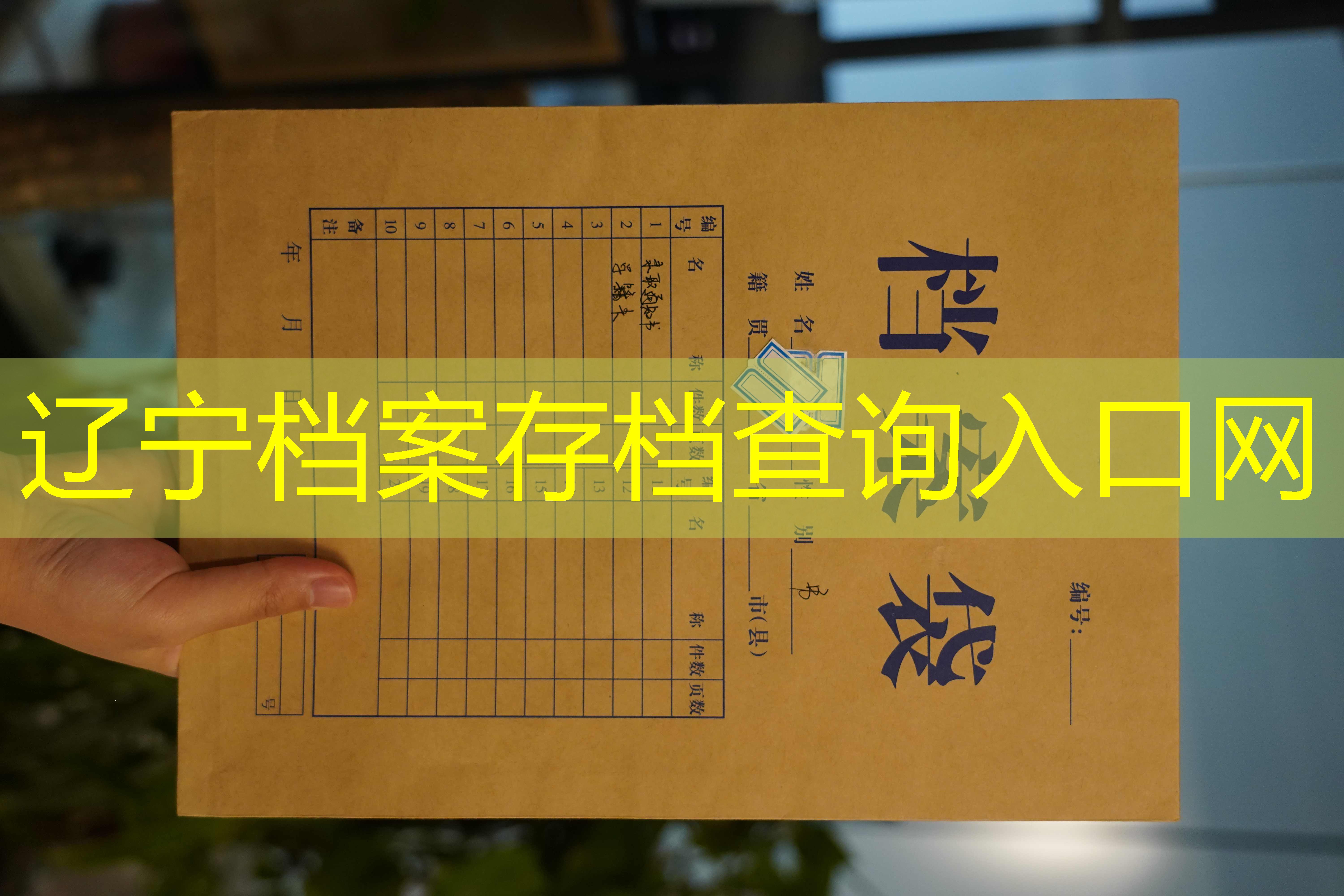 档案查询