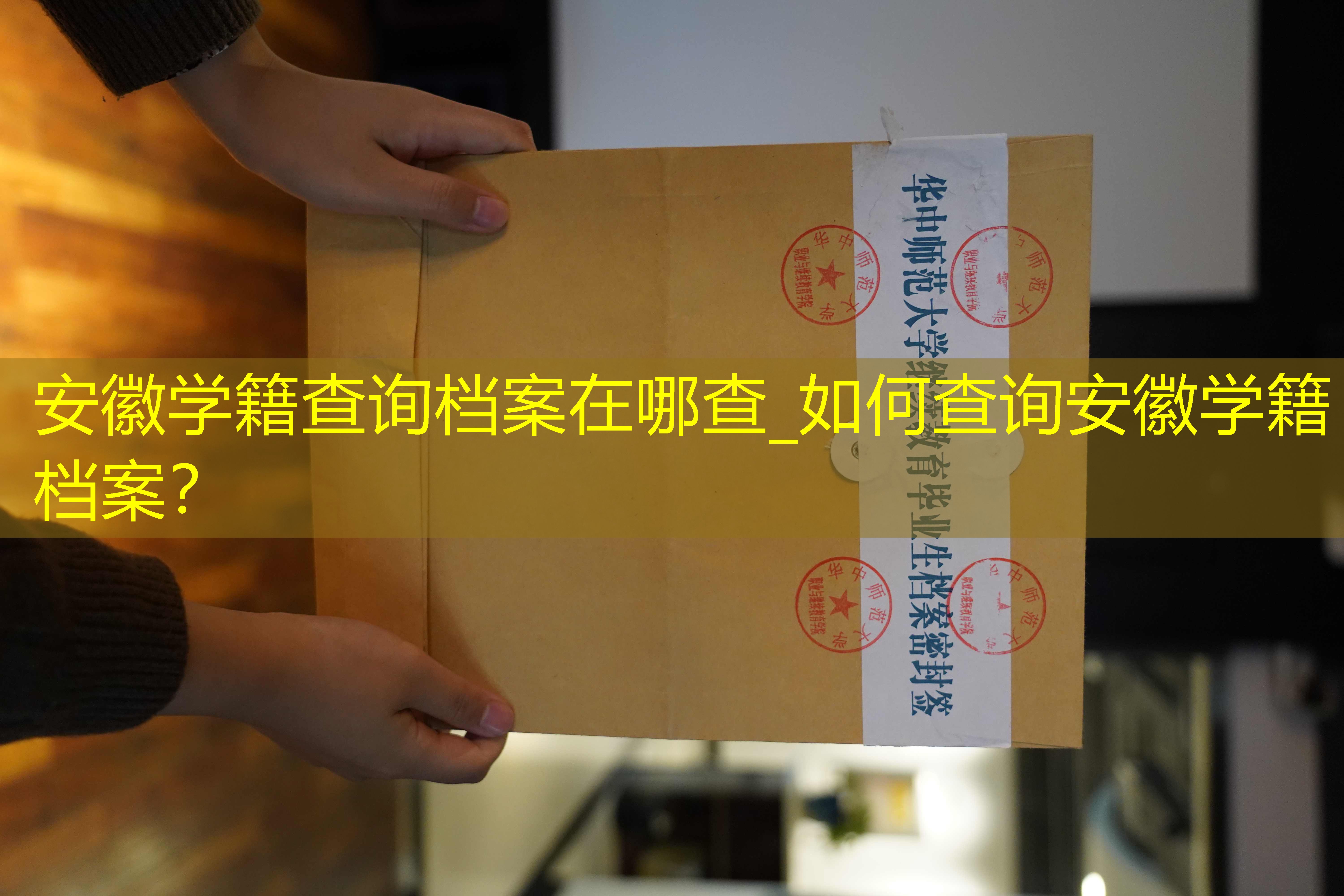 档案查询